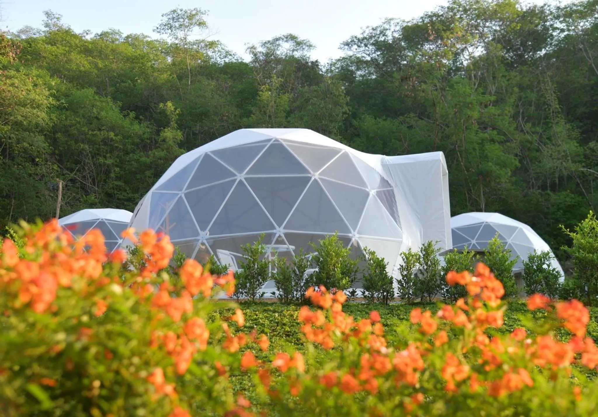 Natural landscape in NiNo San Glamping - Pak Chong