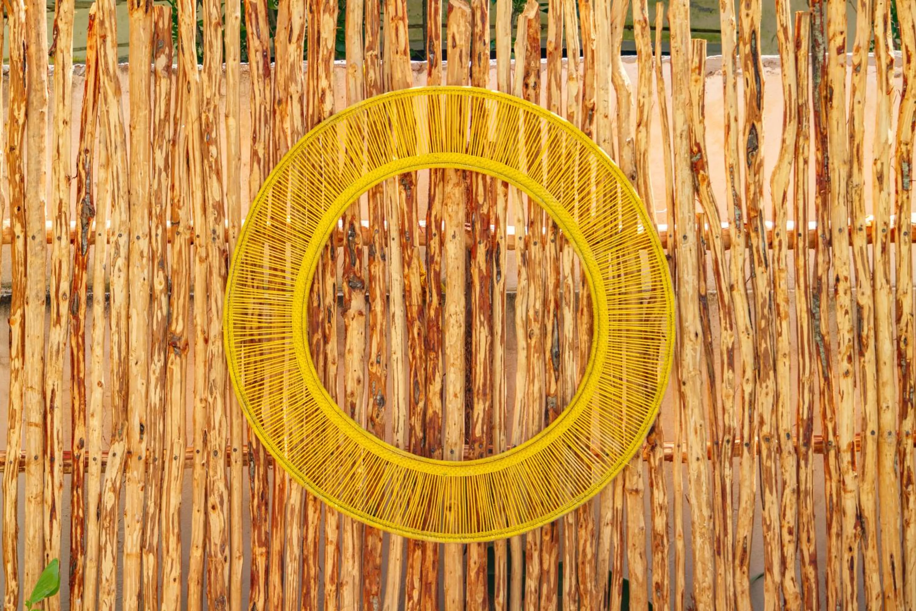 Decorative detail in Babu Villas