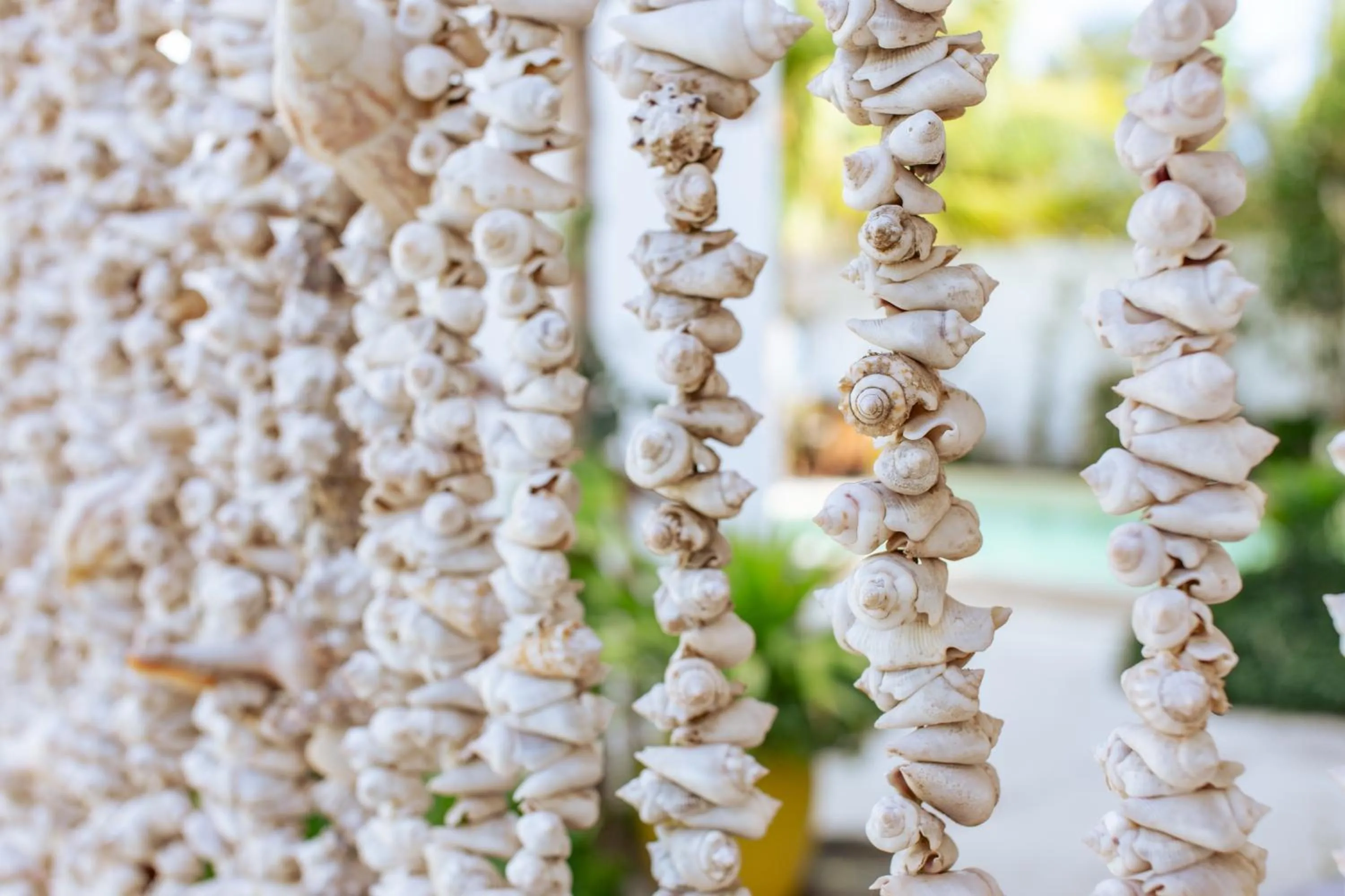 Garden in Babu Villas