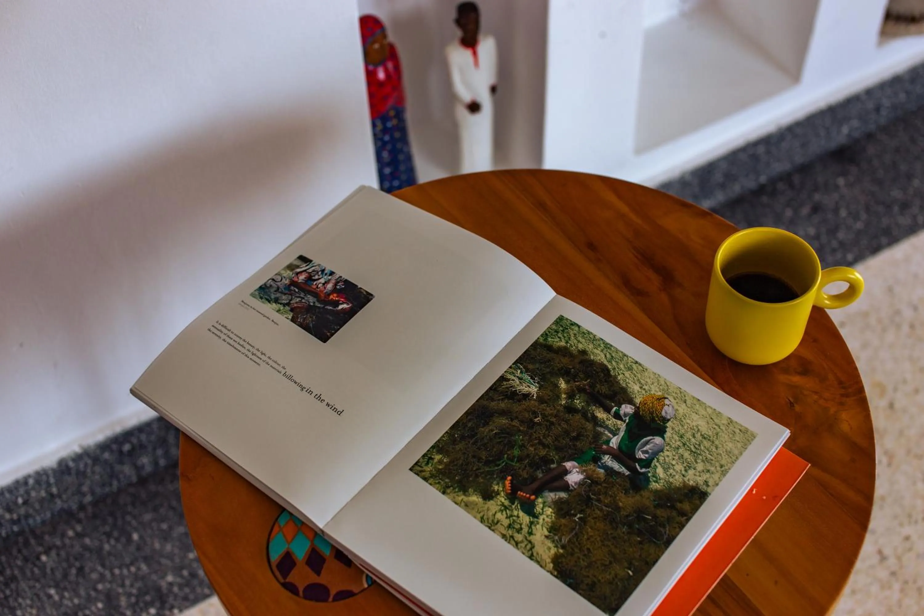 Living room in Babu Villas