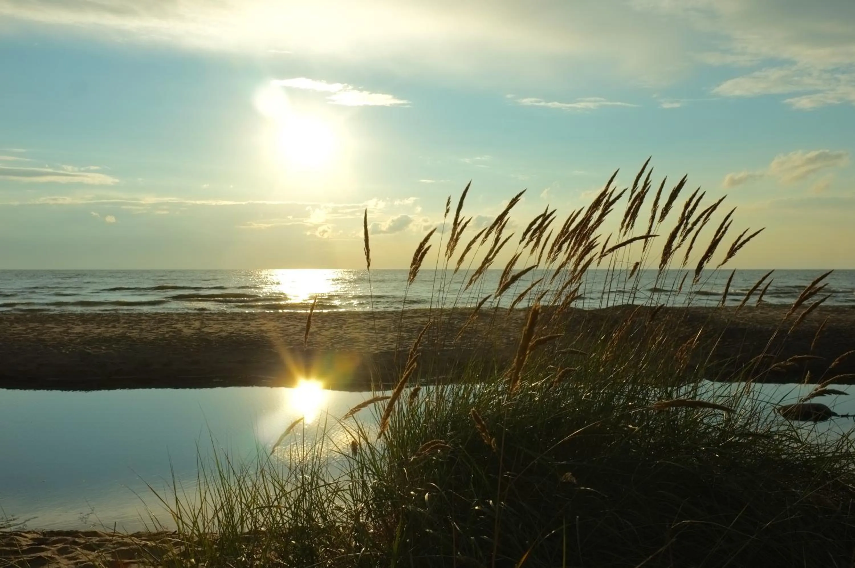 Natural landscape in Saules Club Apart Hotel