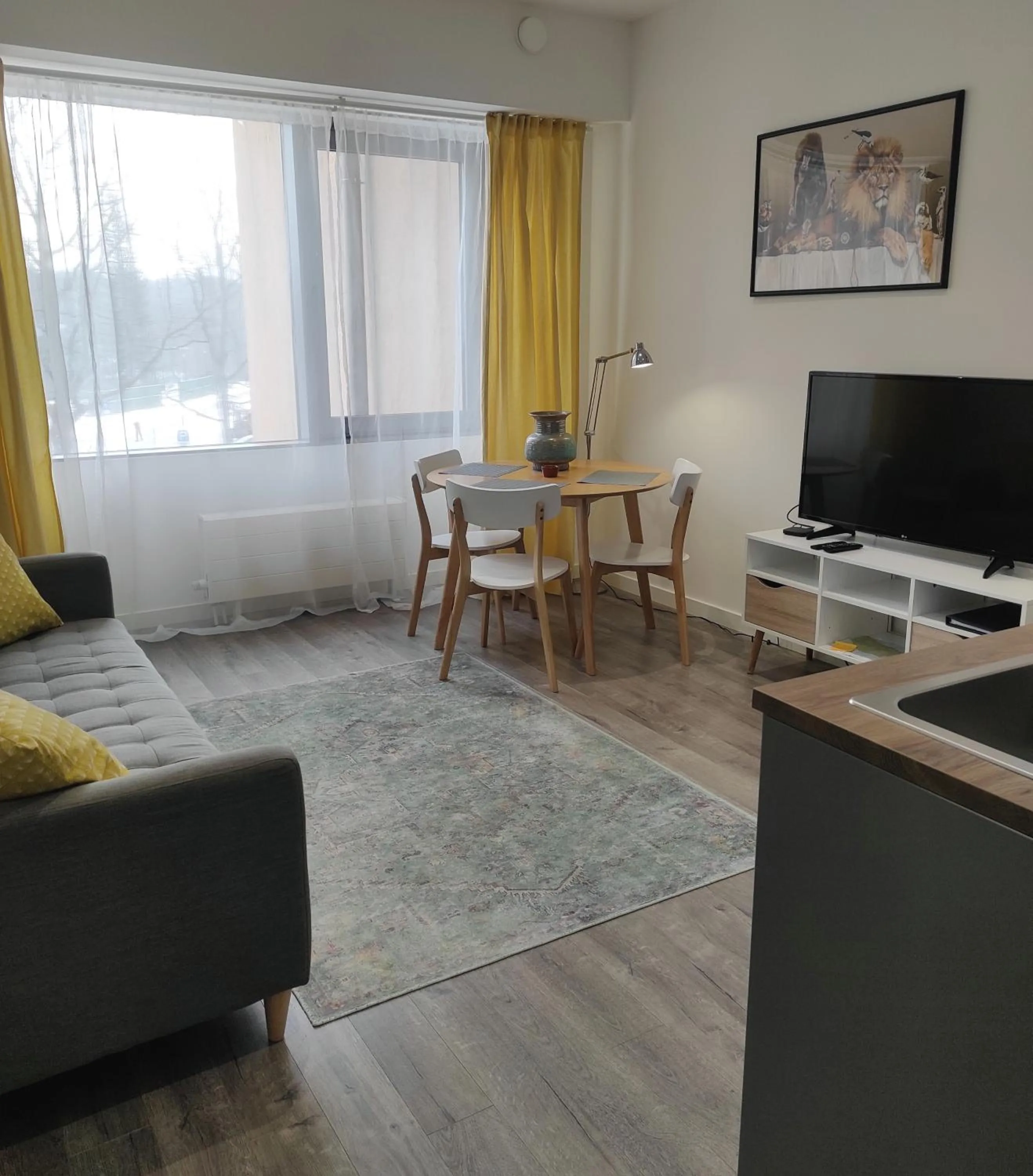 TV and multimedia in Saules Club Apart Hotel