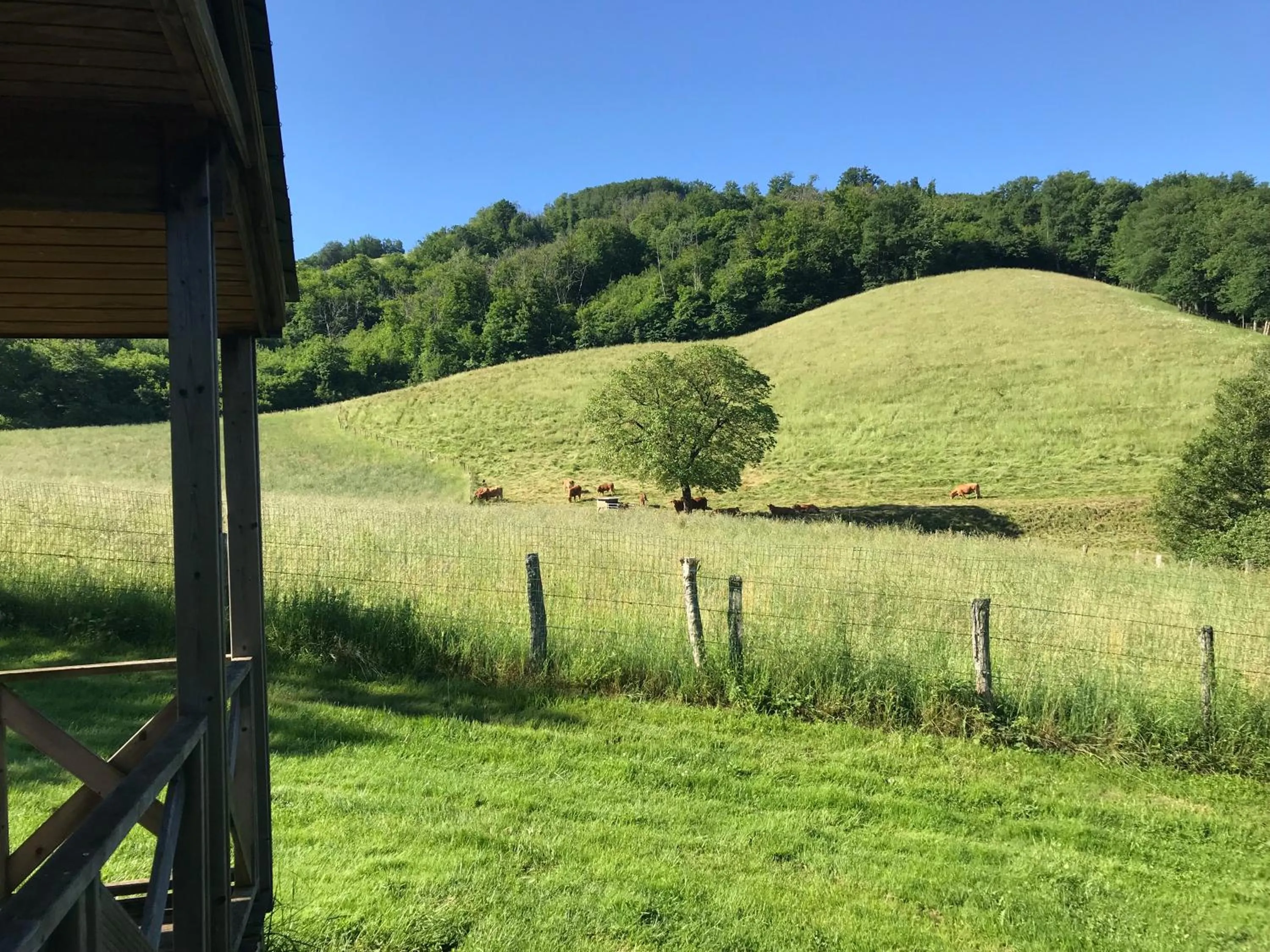 View (from property/room) in Village de Gite - La Cascade