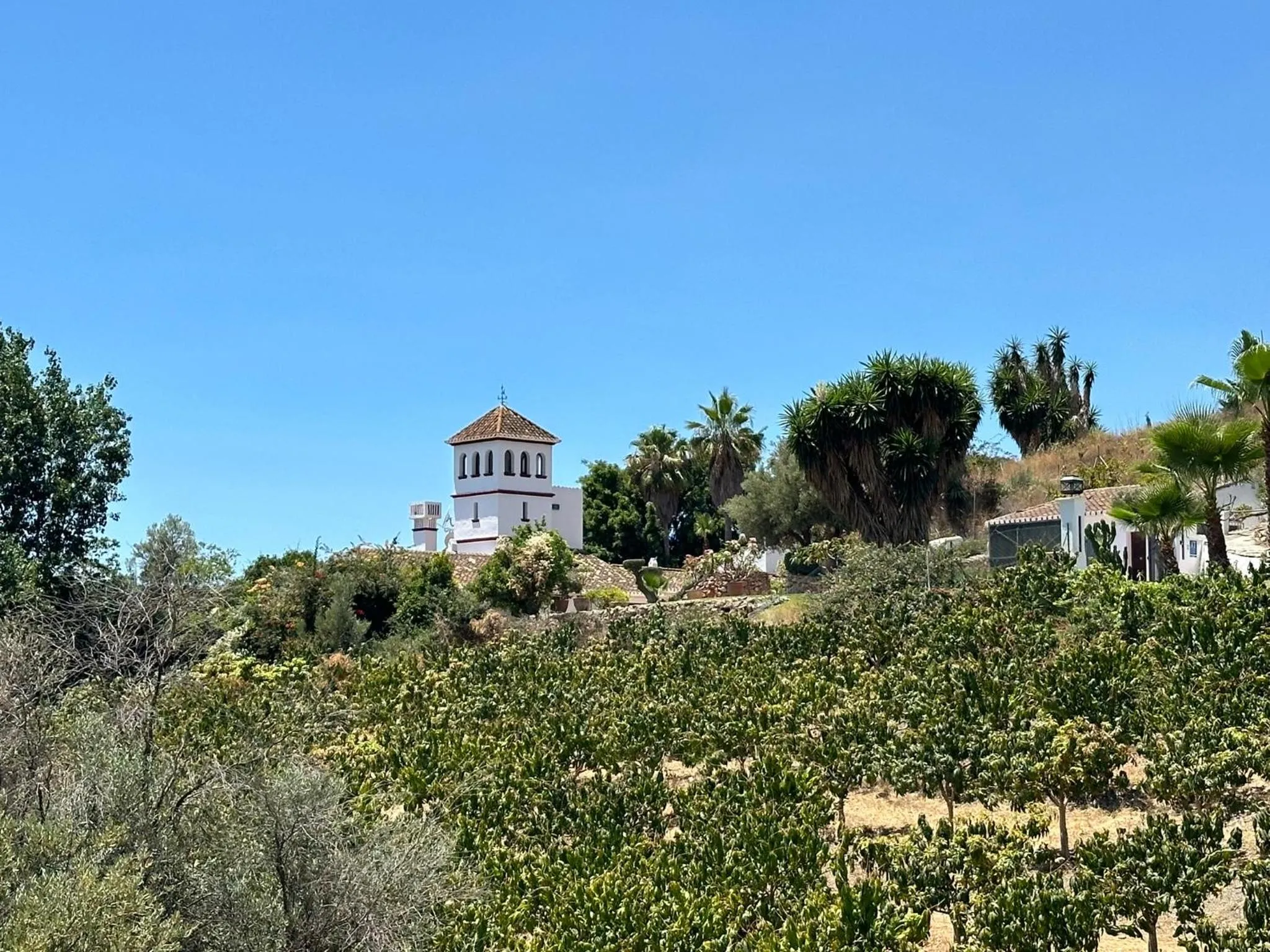 La Imaroga