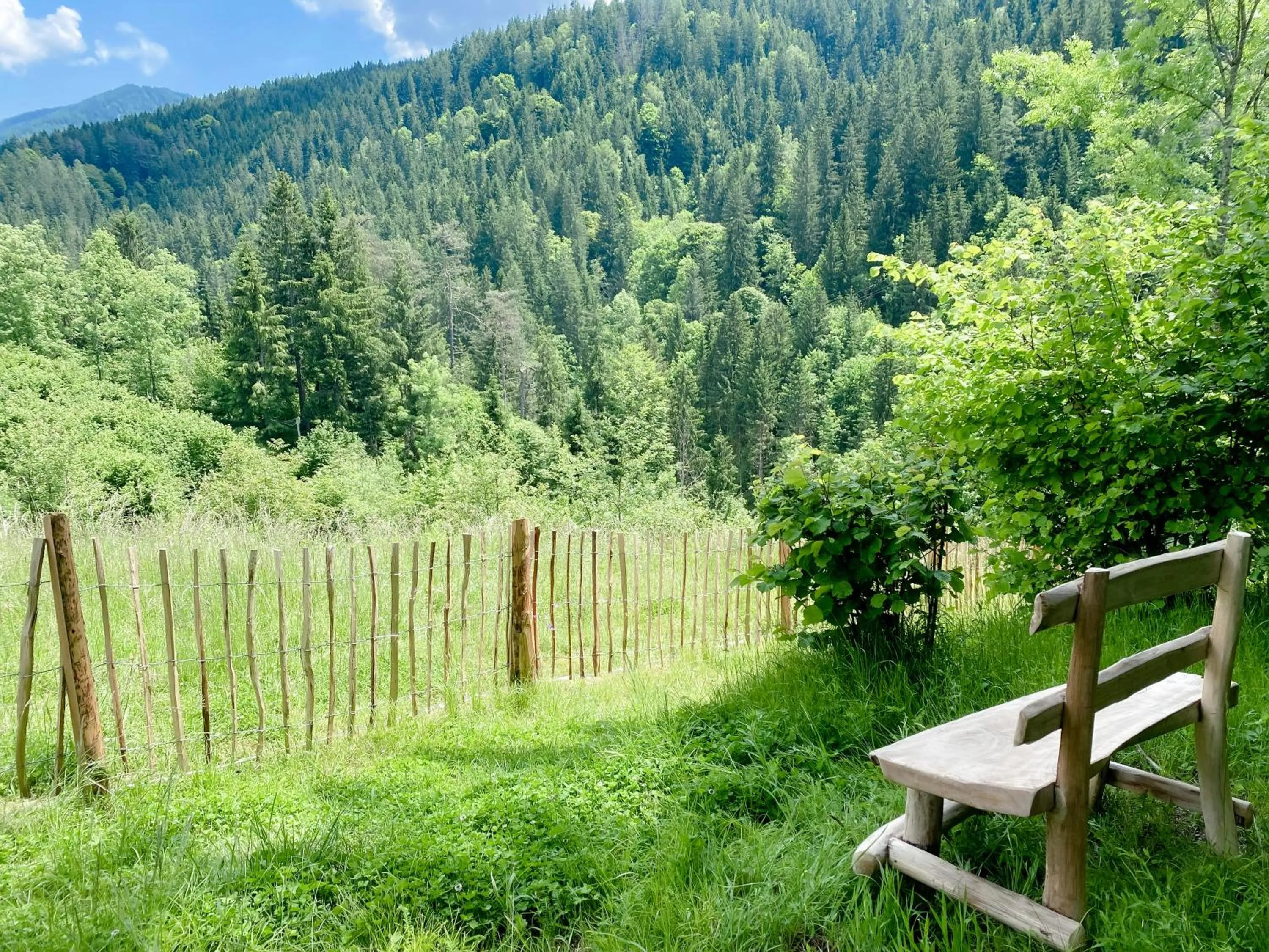 Day in Pension Gasthof Arriach