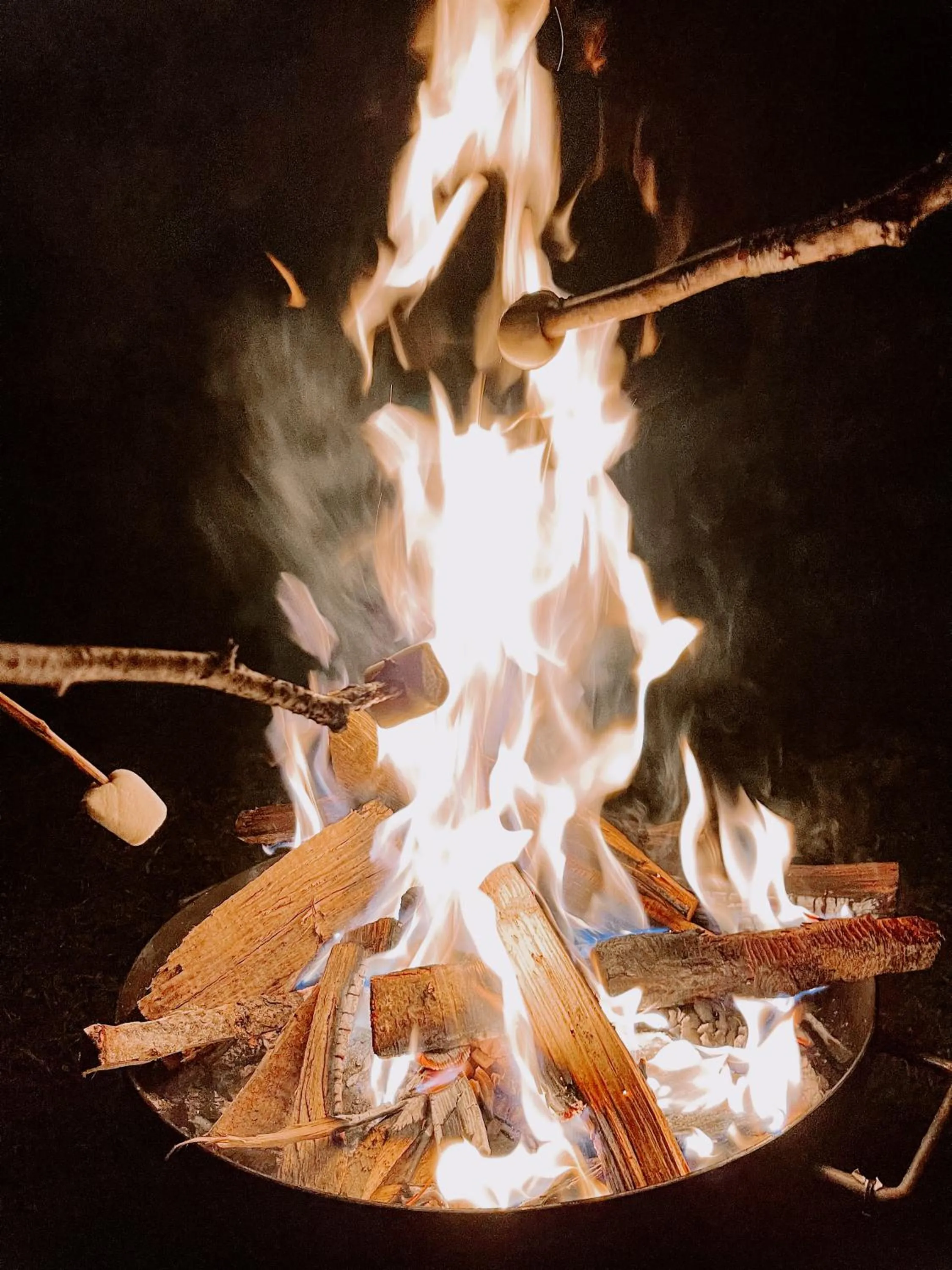 Activities in Pension Gasthof Arriach