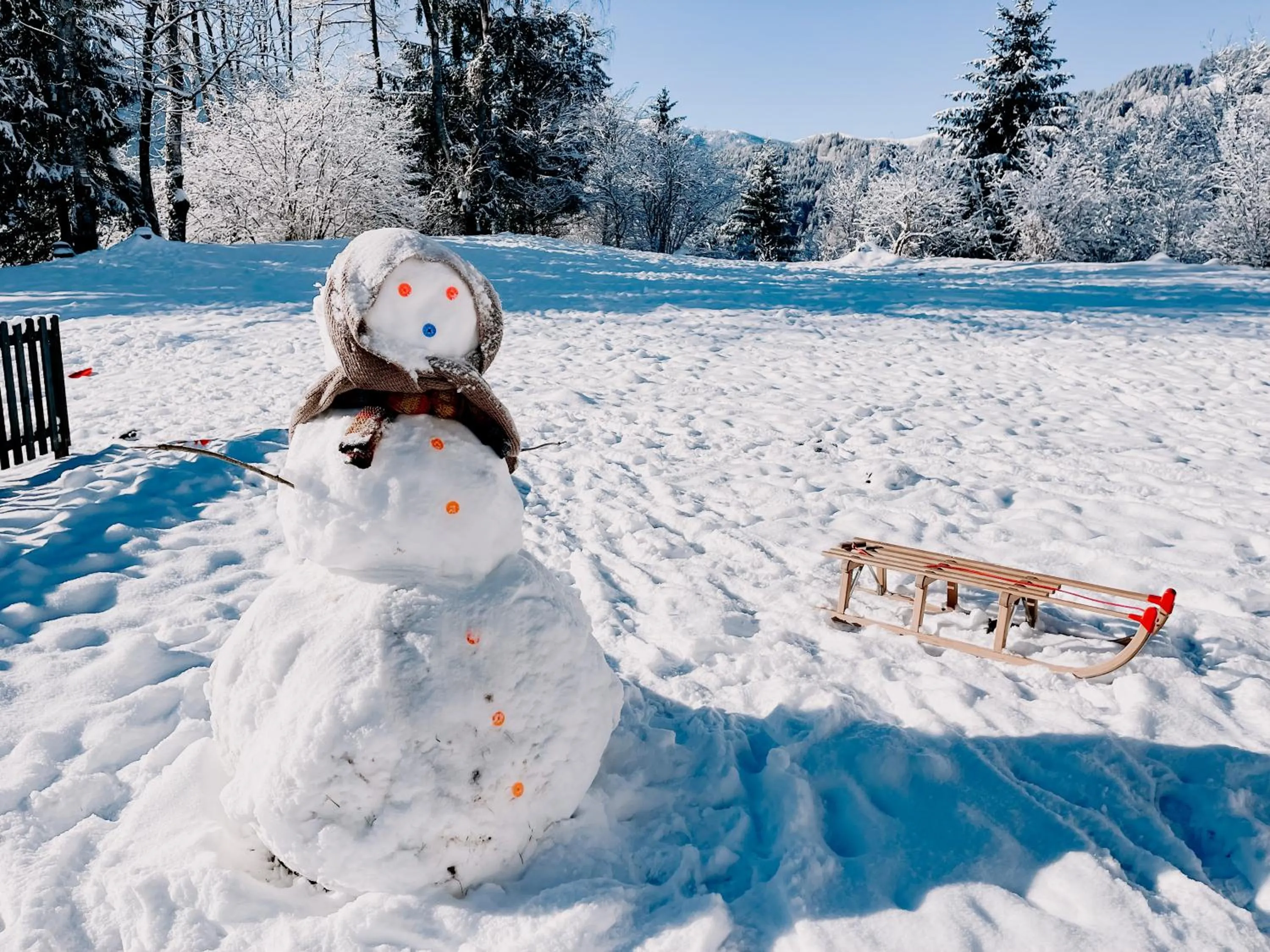 Day in Pension Gasthof Arriach