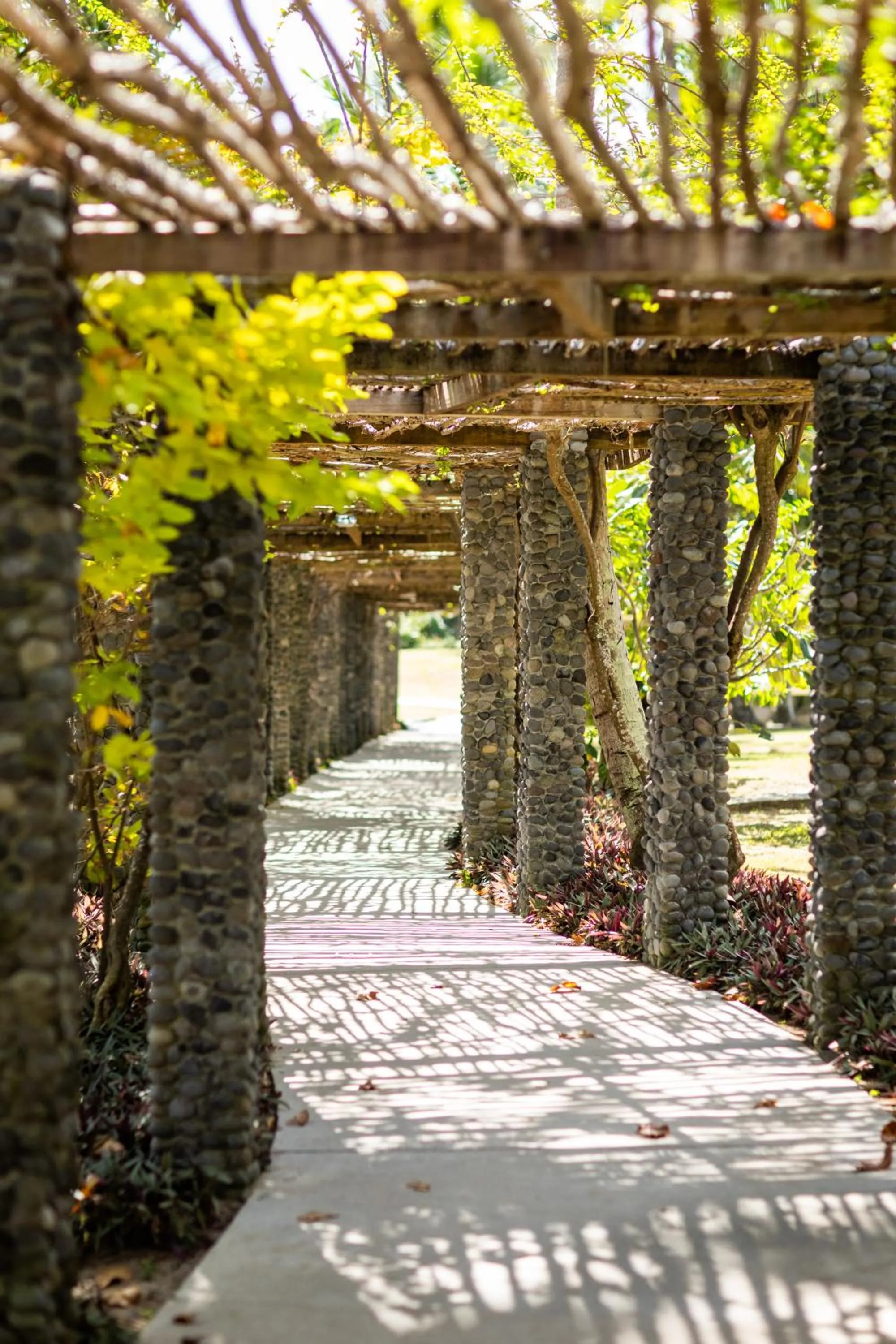Garden in Waya Island Resort