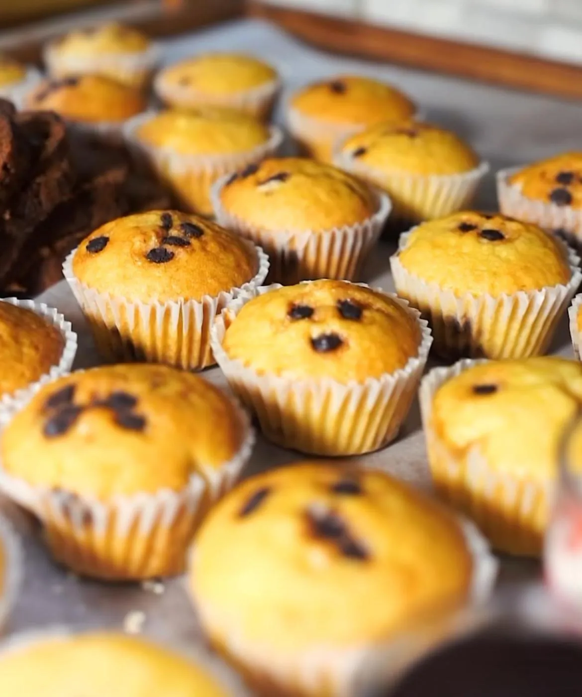 Food and drinks in Villa Vista