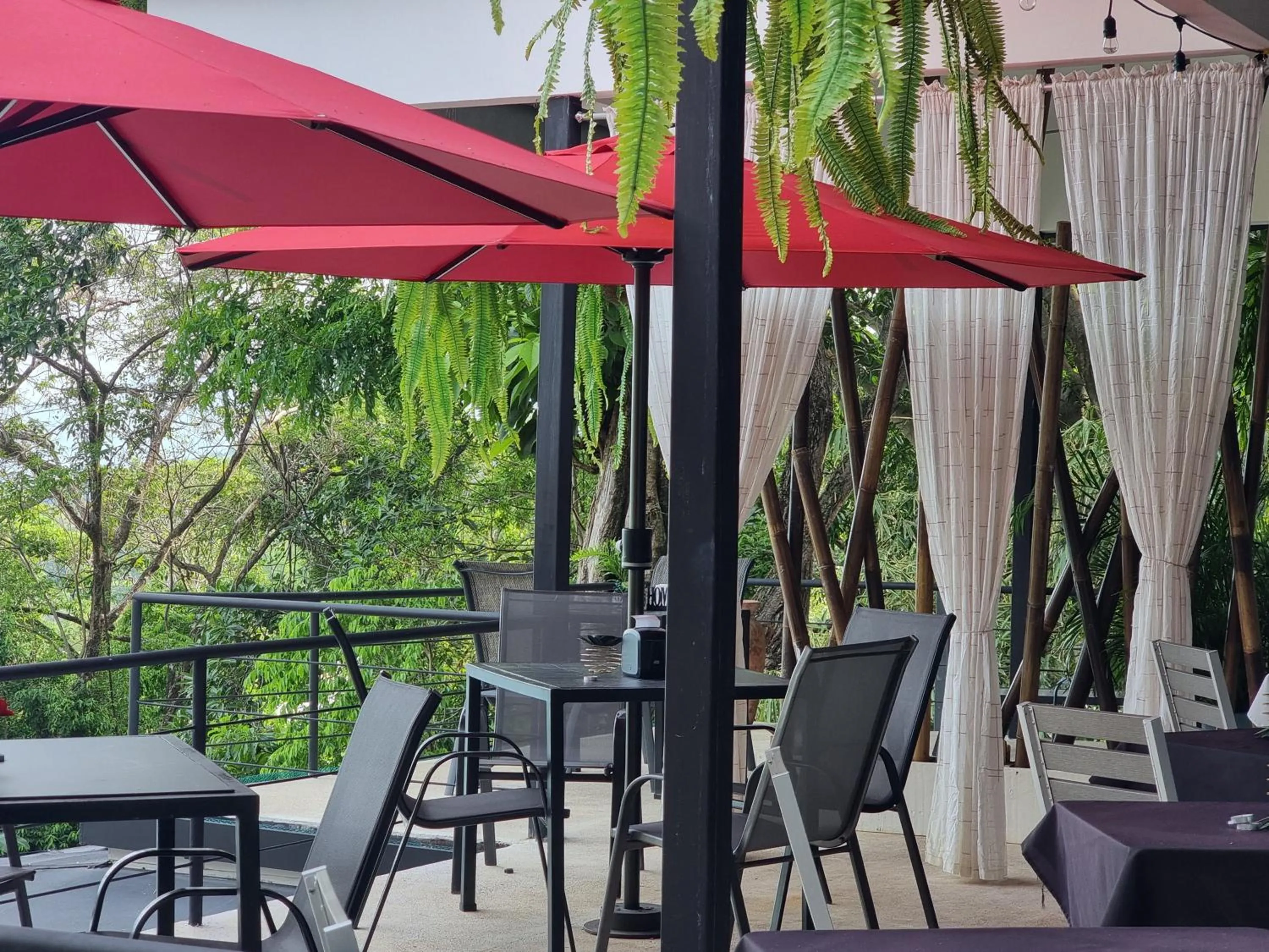 Restaurant/places to eat in Hotel VOS