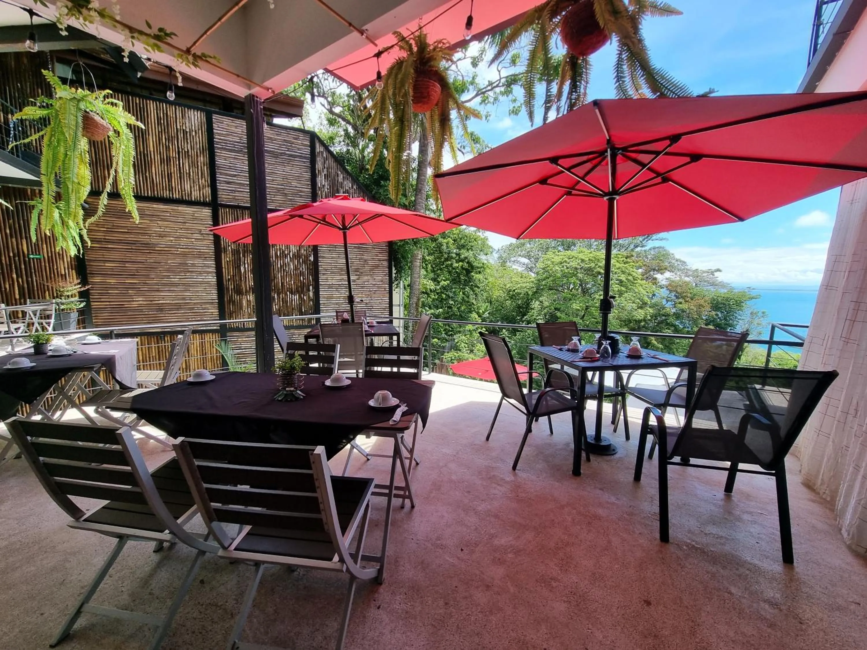 Restaurant/places to eat in Hotel VOS