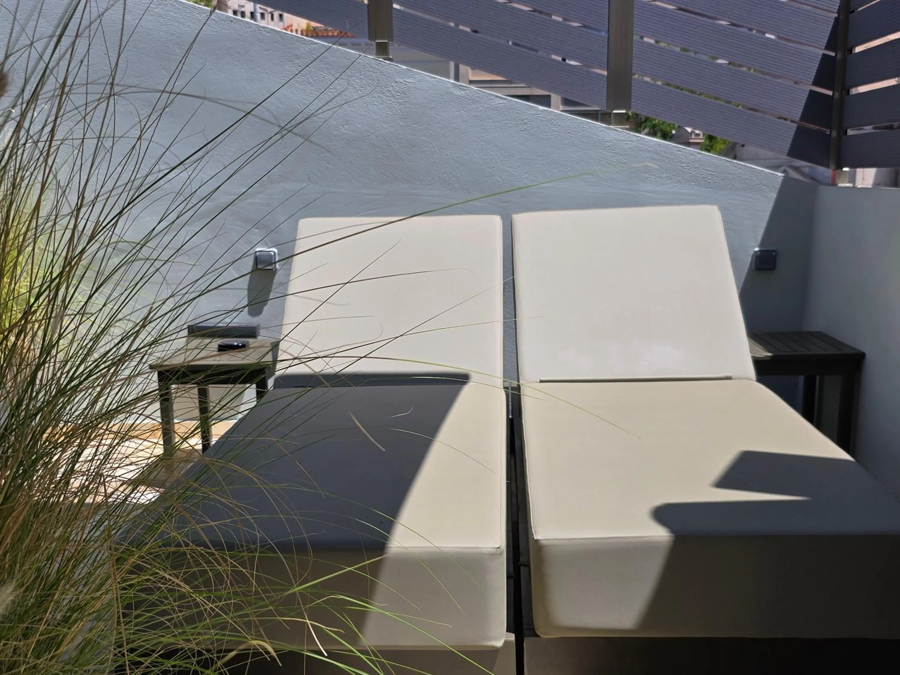 Day in MEDLEY Conceptual Living & Spa