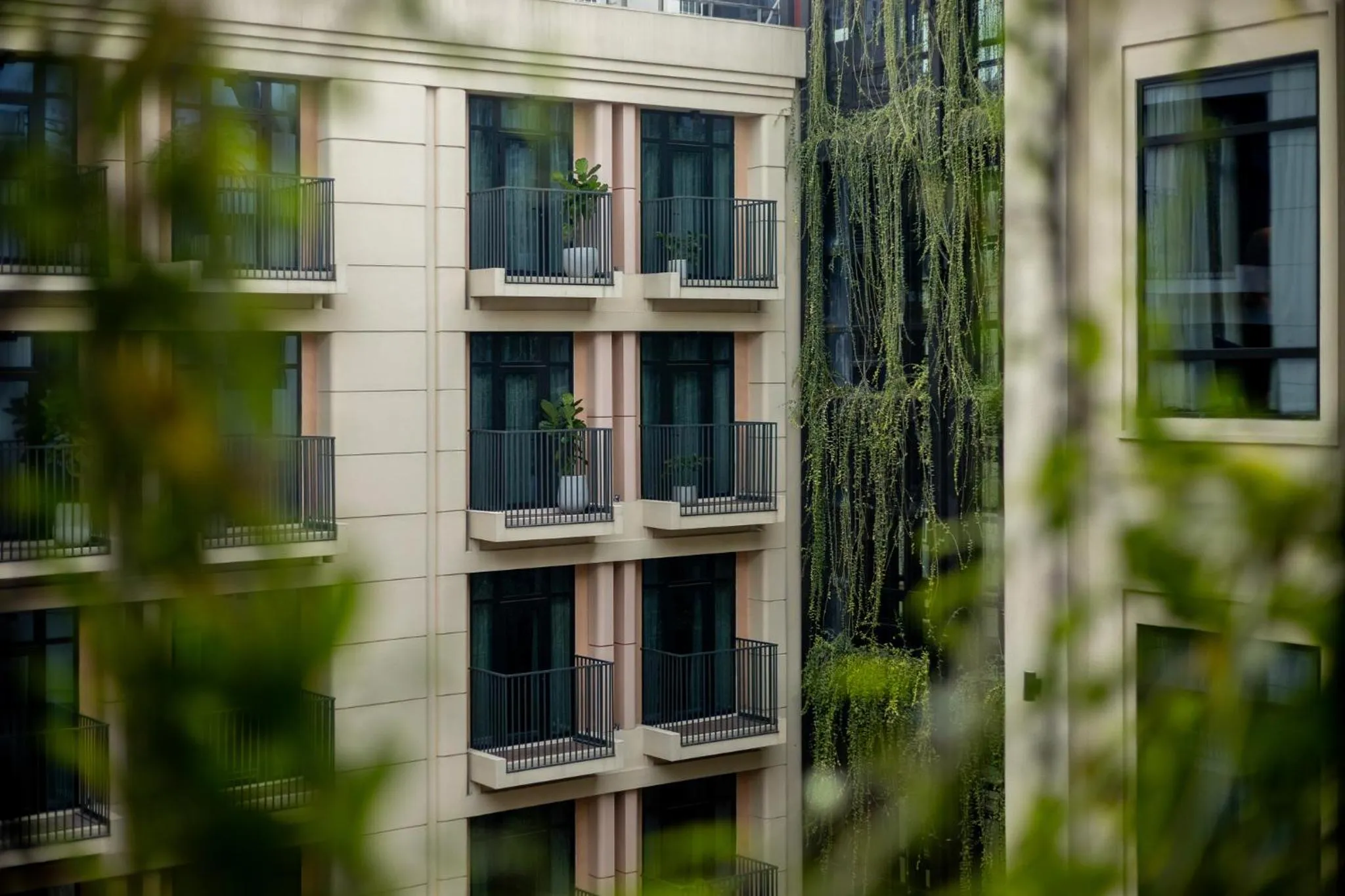 Garden view in REY Hotel Hanoi