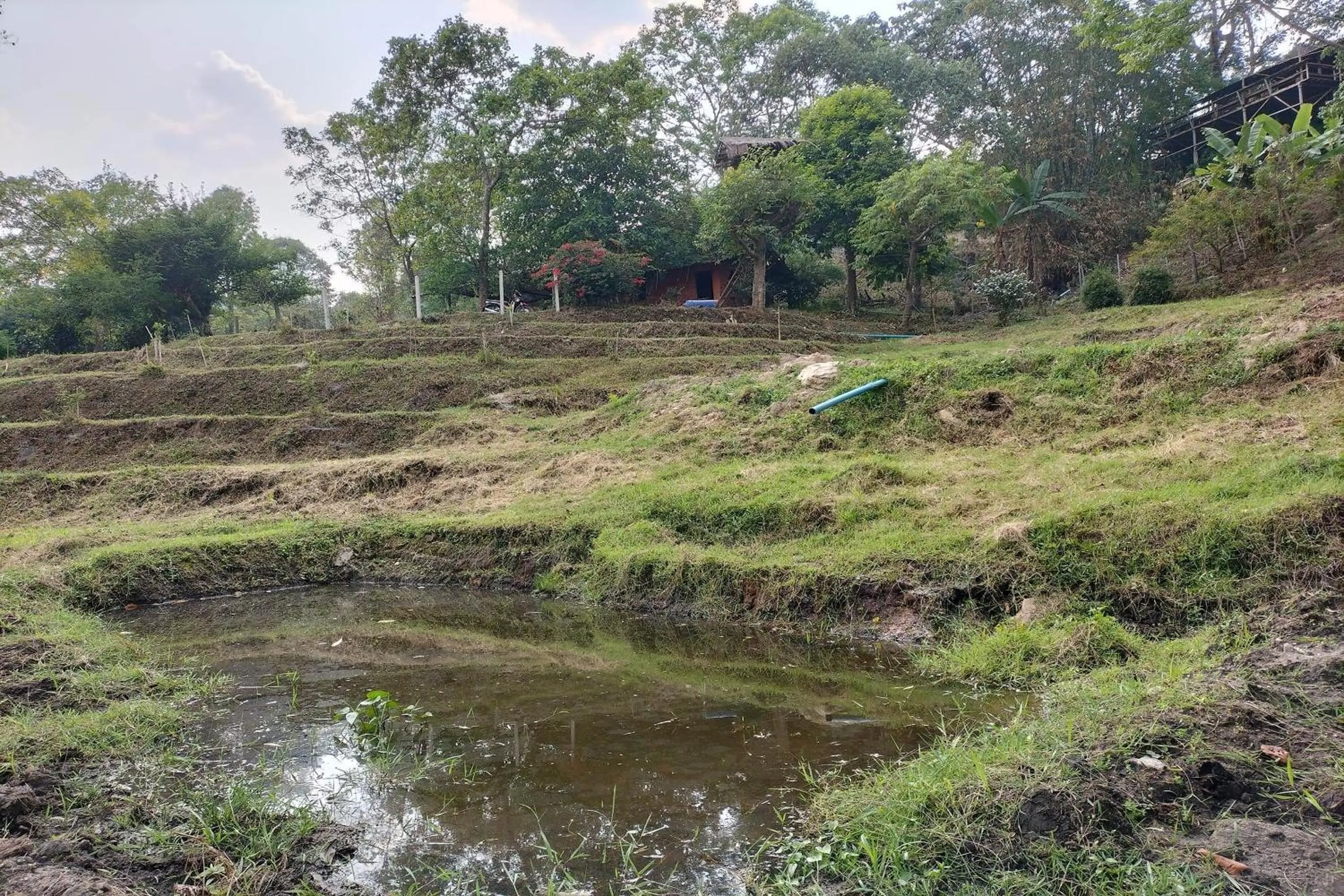 Natural landscape in Doi PuMuen LAHU Homestay