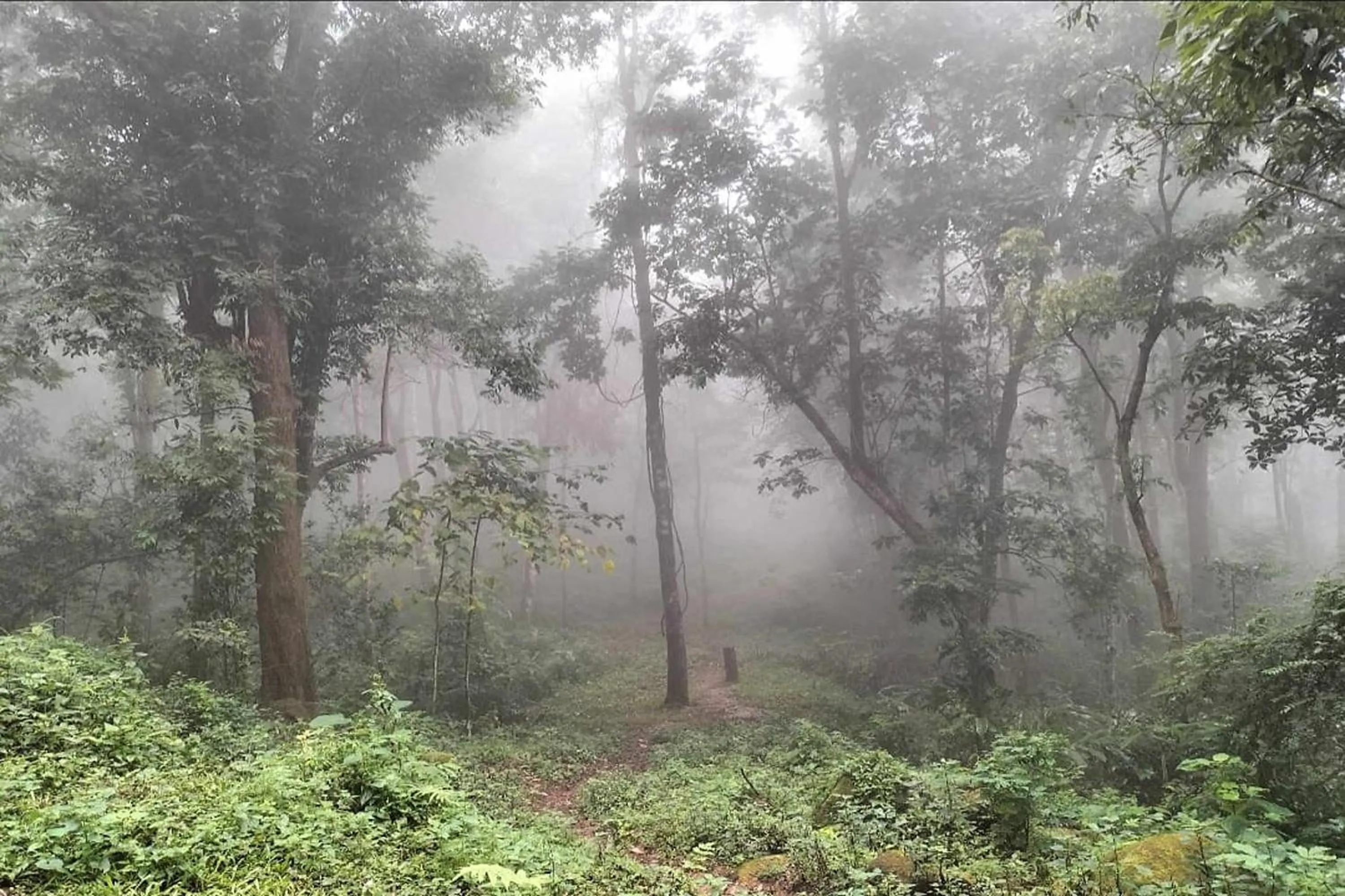 Spring in Doi PuMuen LAHU Homestay