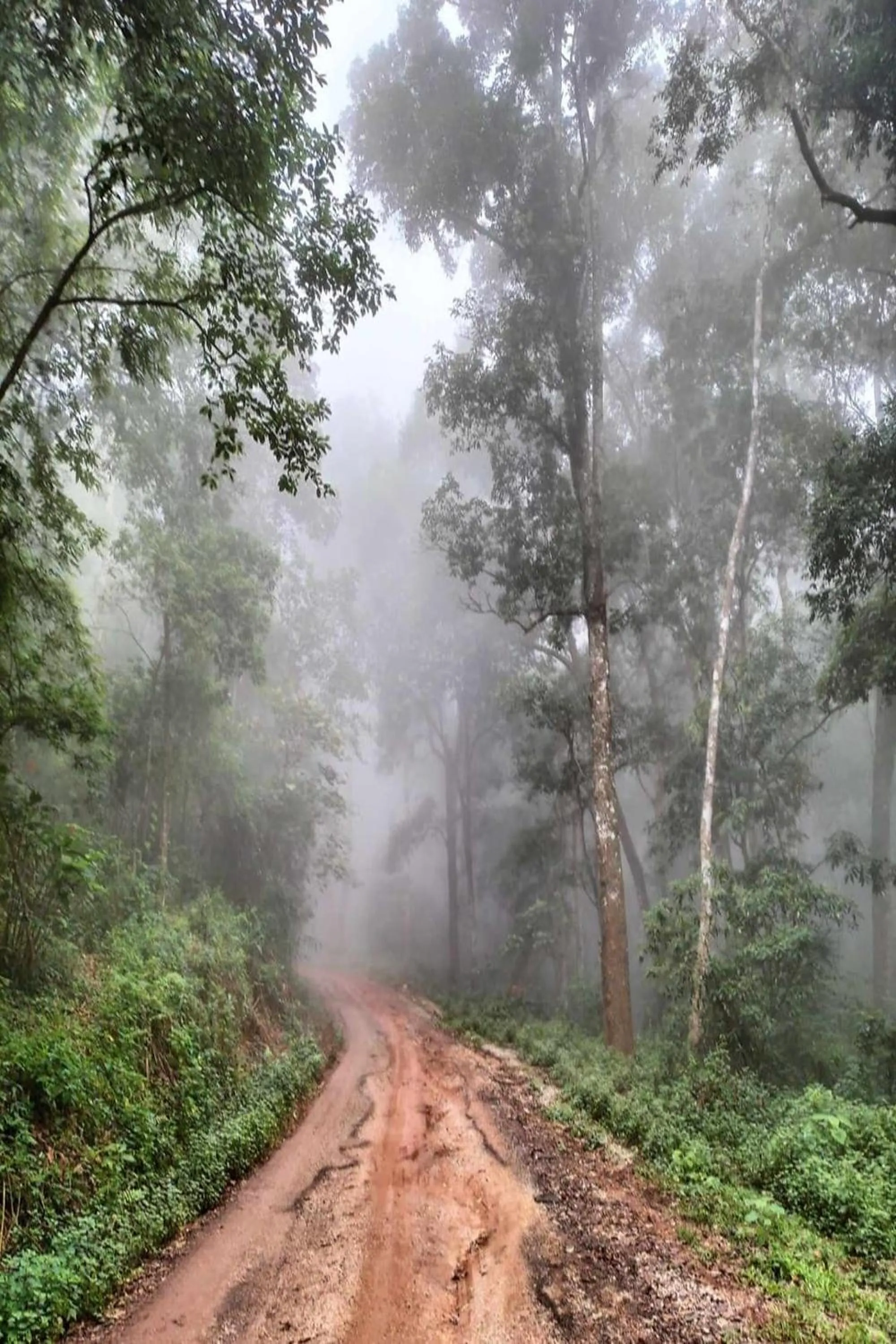 Day in Doi PuMuen LAHU Homestay
