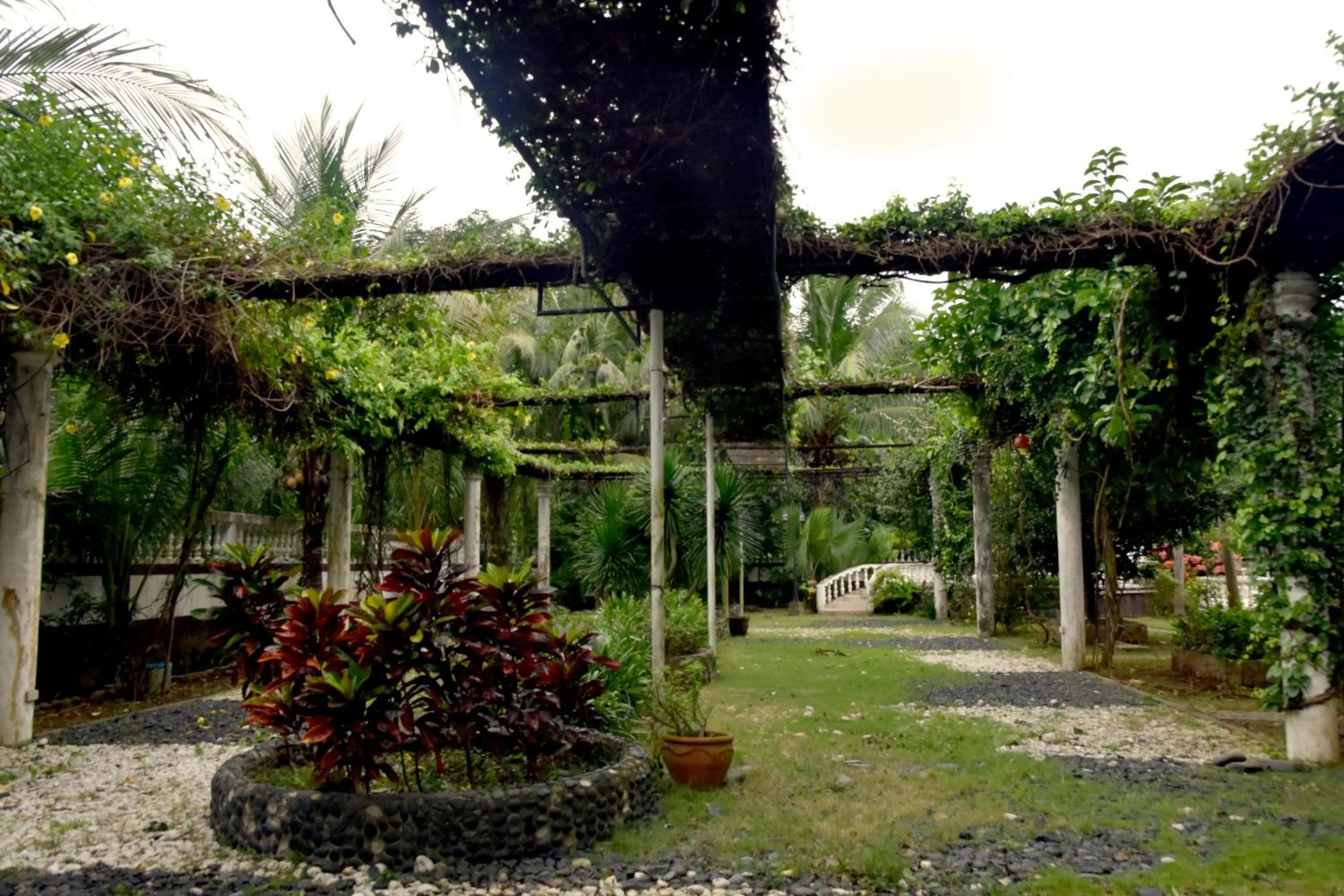 Garden in Isla De Oro Hotel