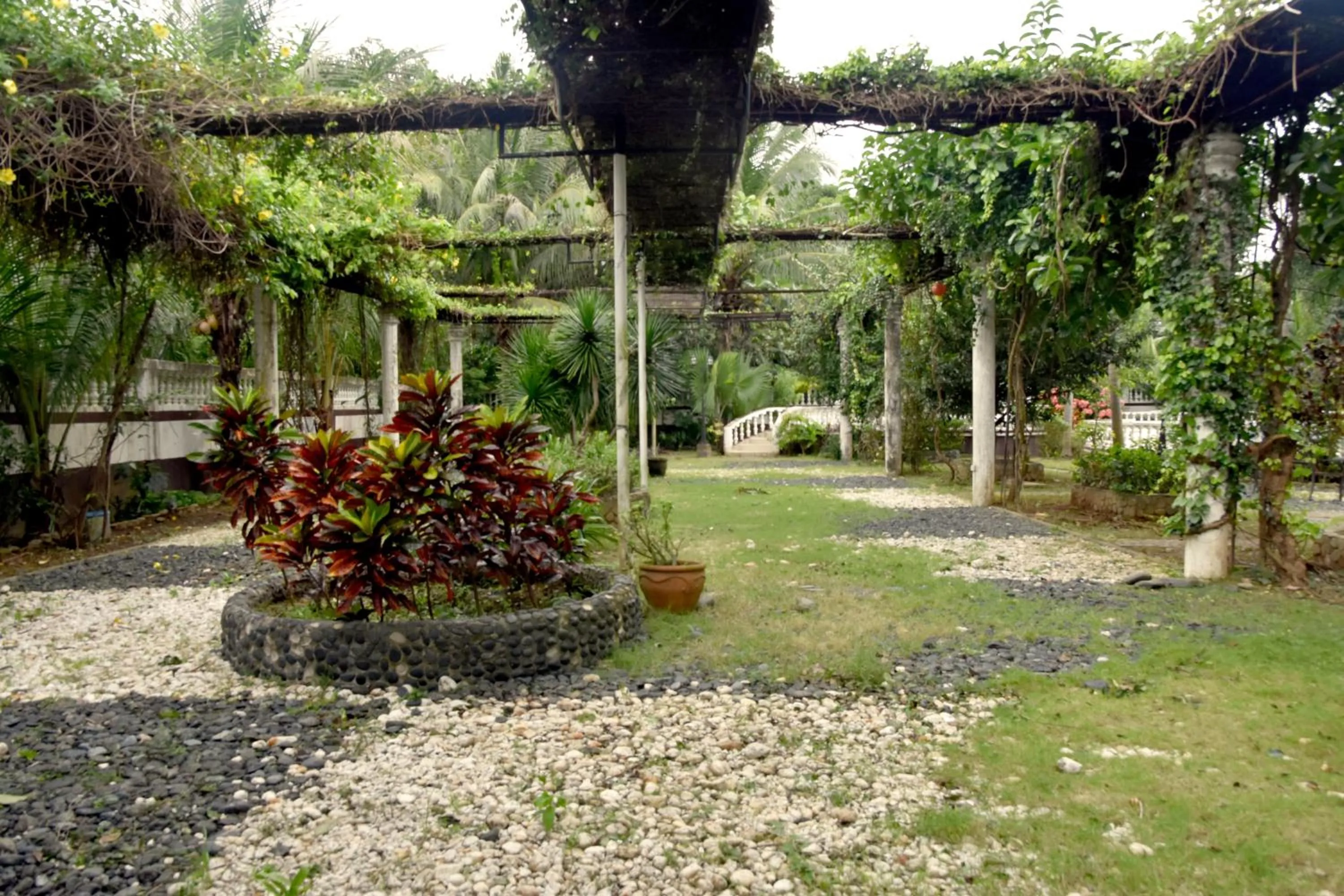 Garden in Isla De Oro Hotel