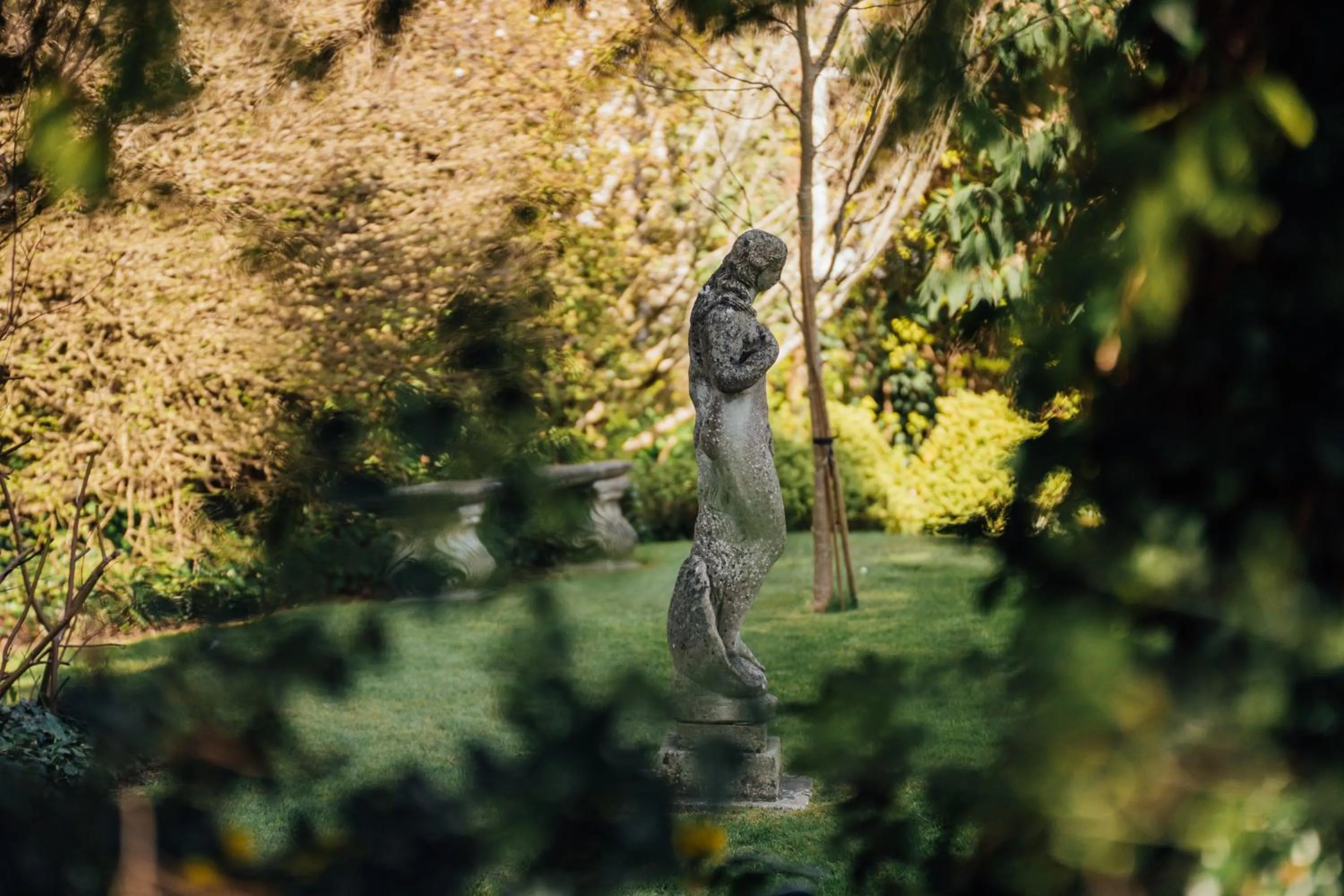 Garden in The Farthings Somerset