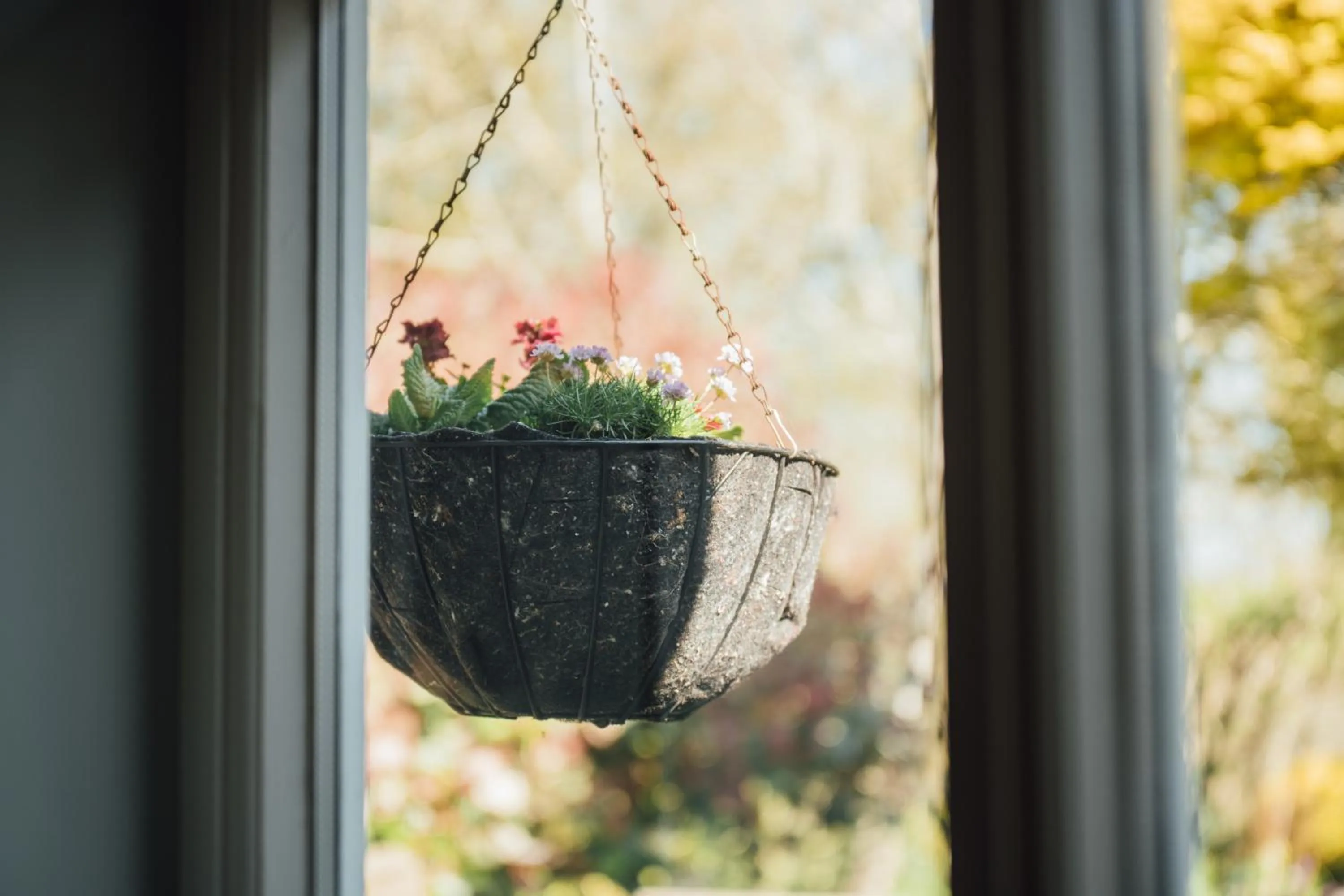 Garden in The Farthings Somerset