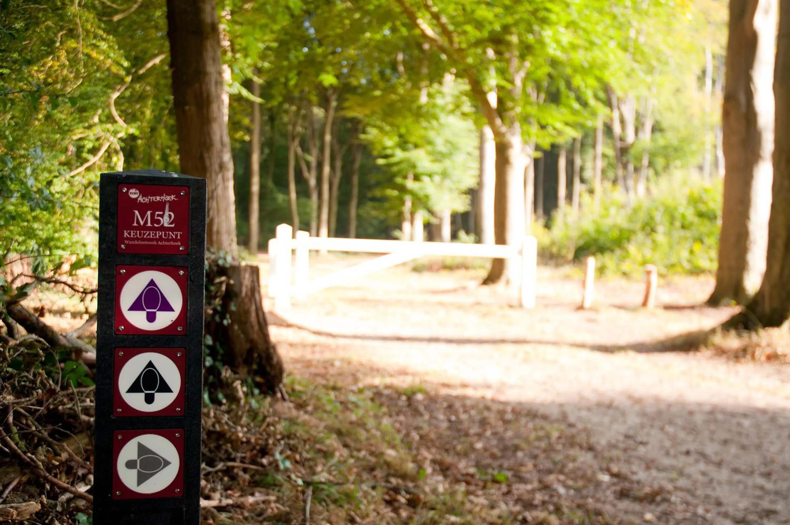 Natural landscape in Boetiek Hotel BonAparte Lochem