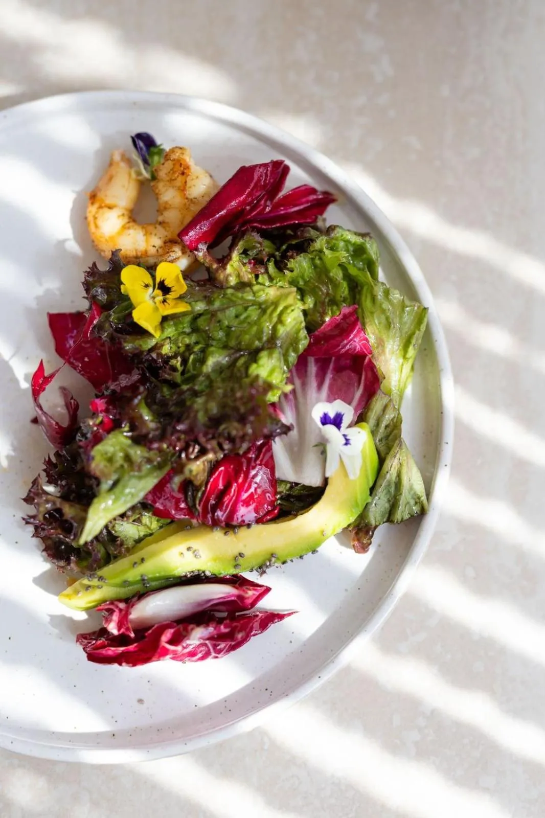 Spring in Virtu on the Hill