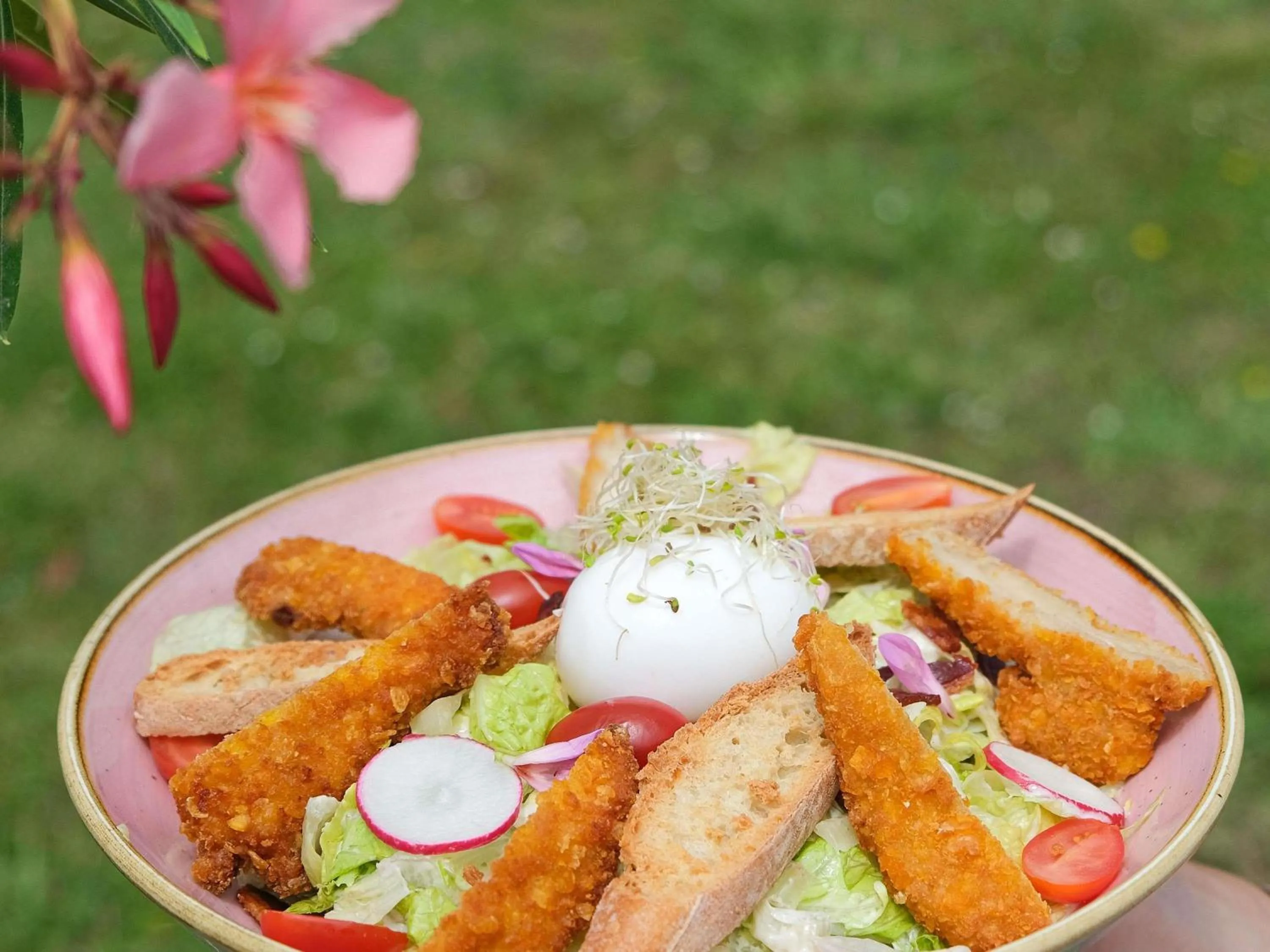 Restaurant/places to eat in ibis budget Toulouse Labège