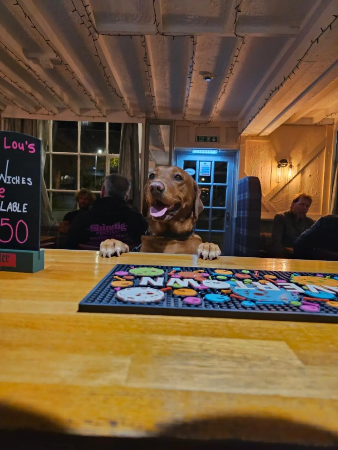 Lounge or bar in Dog and Partridge Inn