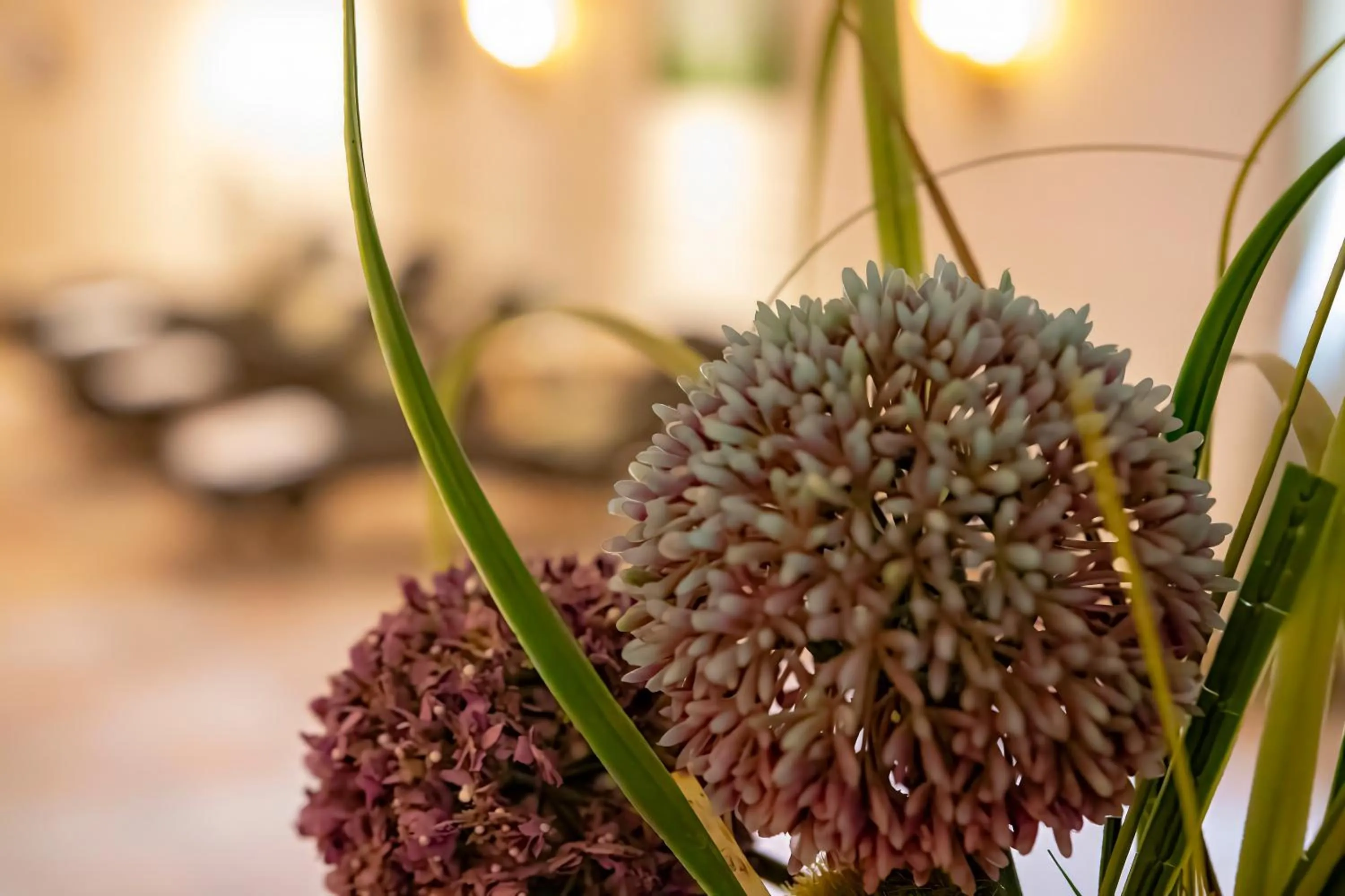 Spa and wellness centre/facilities in Golf- und Wellnesshotel Amtsheide