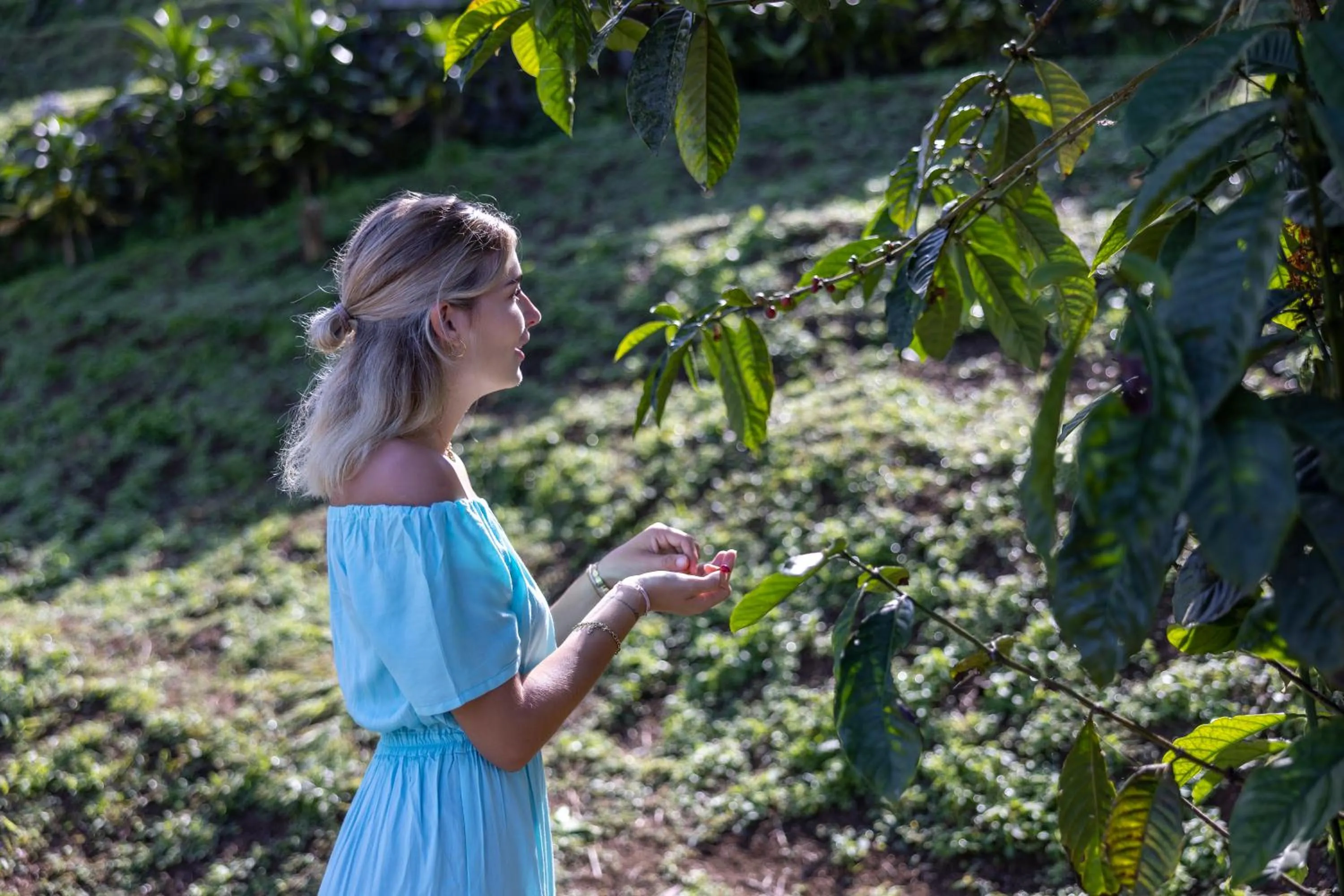 Day in Munduk Tentrem Resort