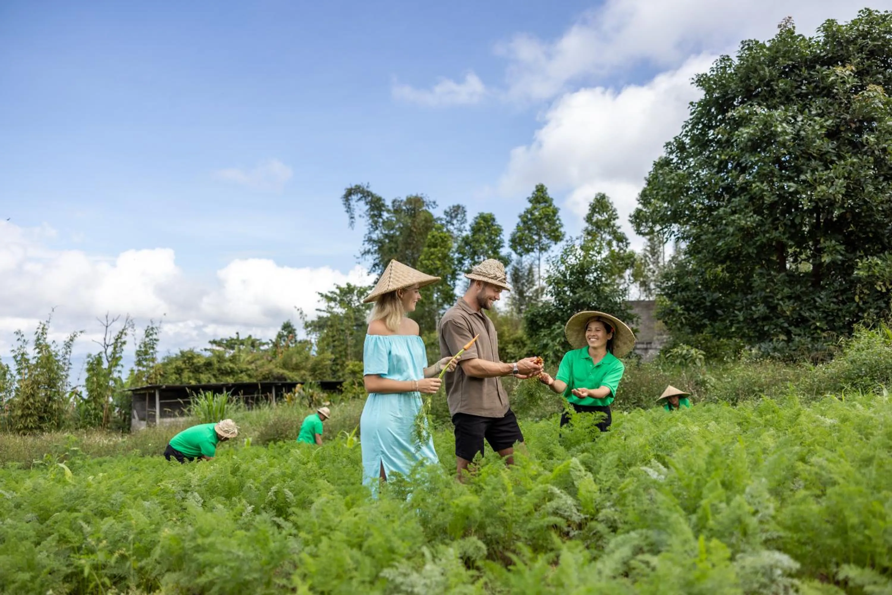Day in Munduk Tentrem Resort