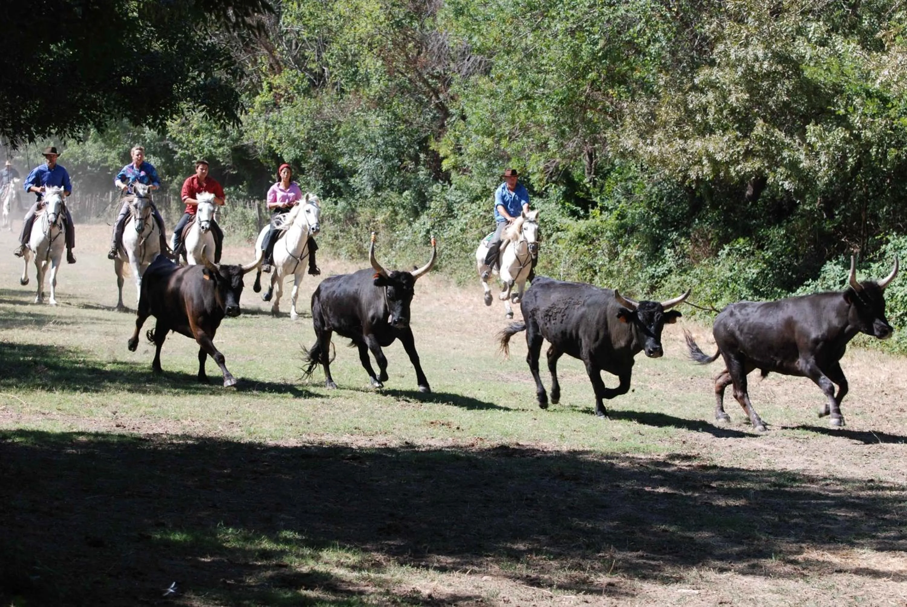 Nearby landmark in Le Mazet De Jean