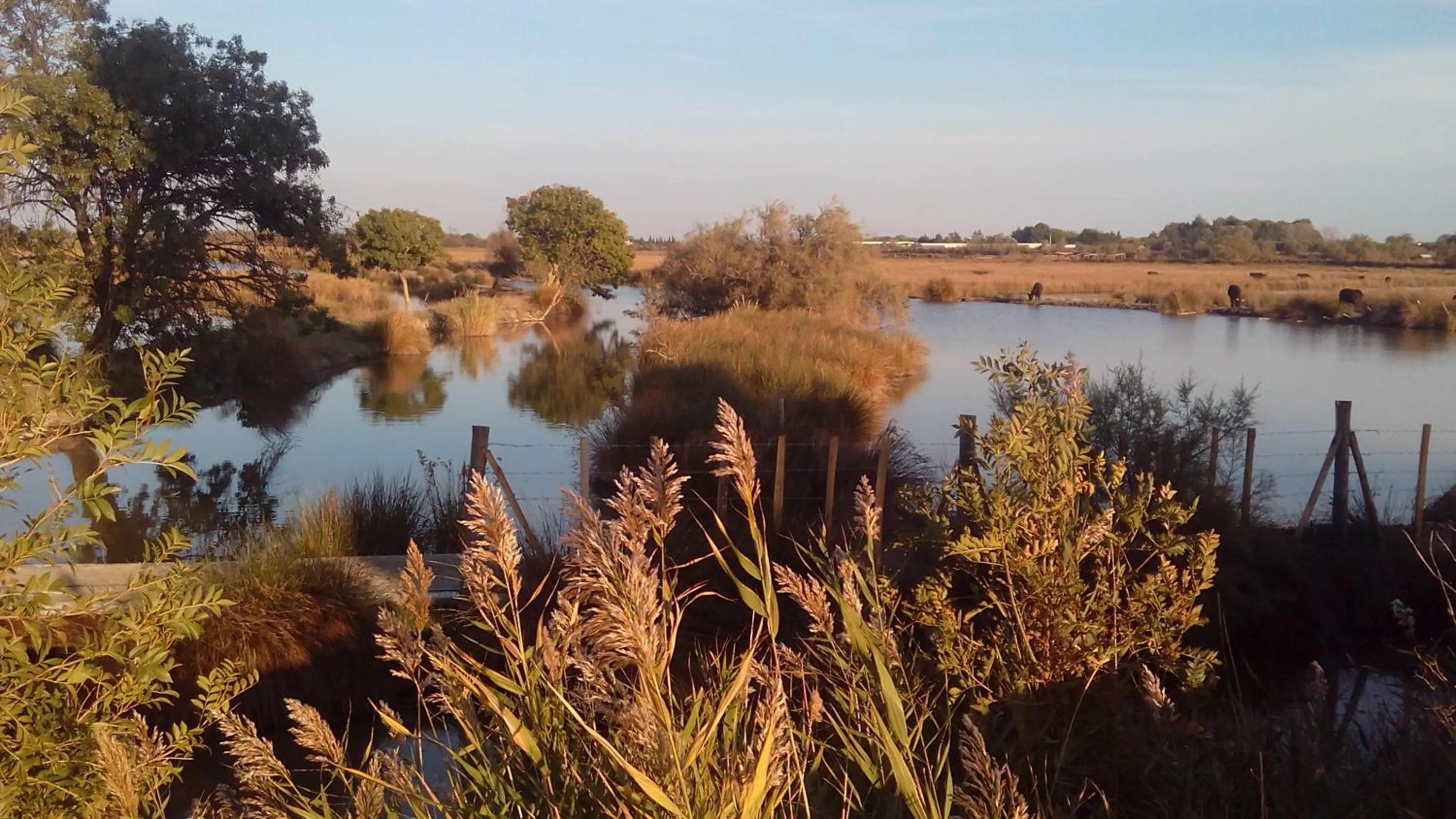 Nearby landmark in Le Mazet De Jean