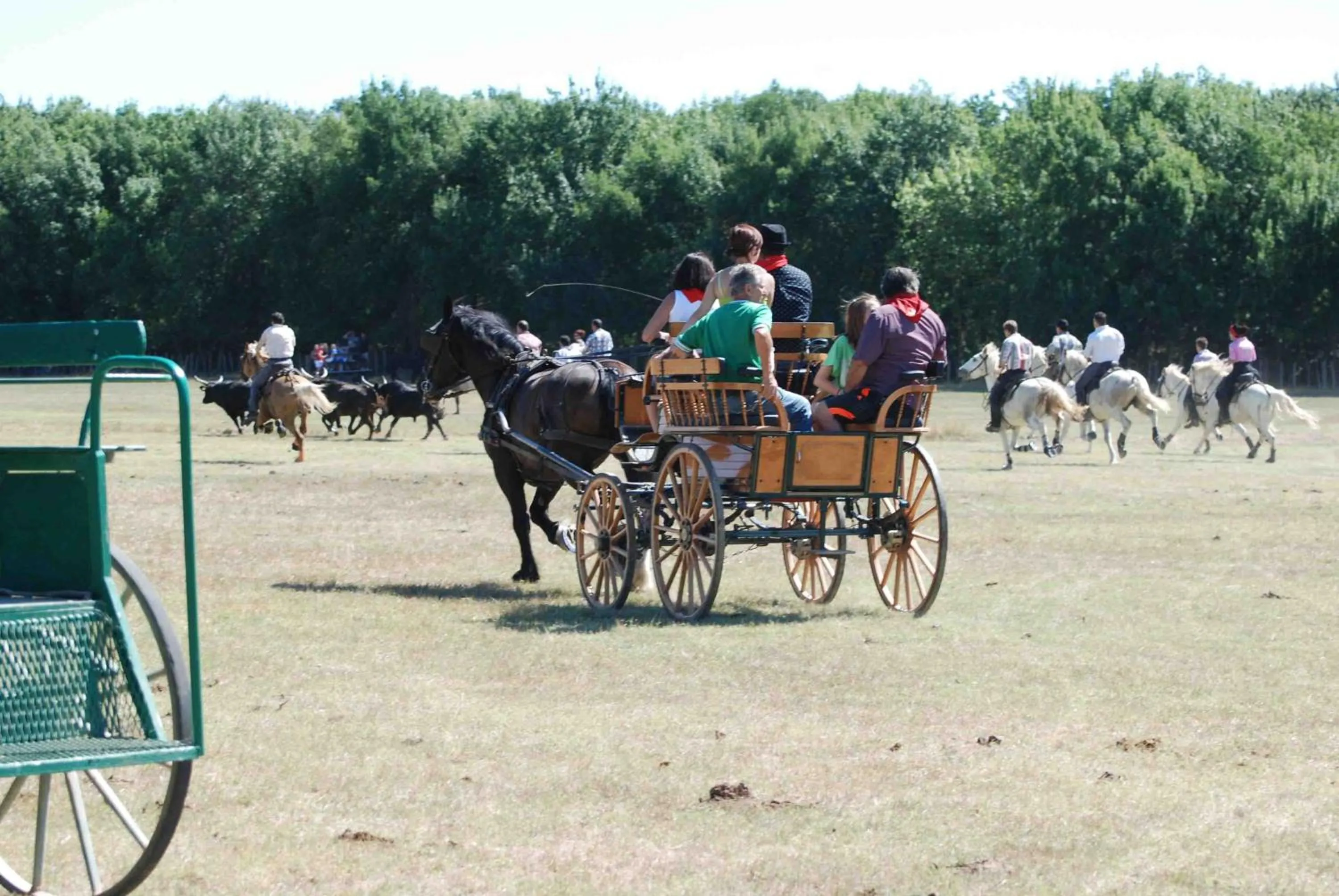 Activities in Le Mazet De Jean