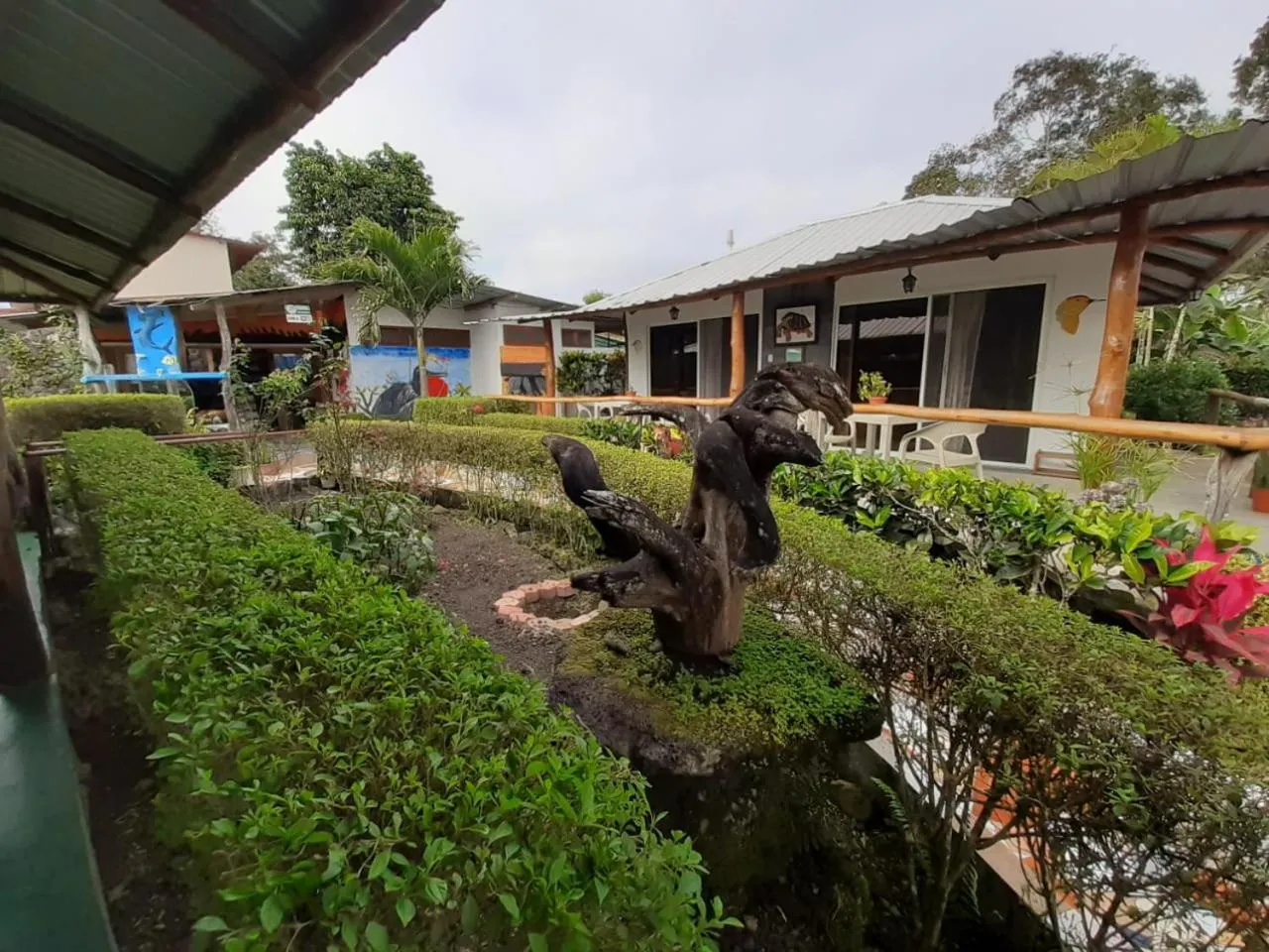 Off site in Suymar Ecolodge Galapagos