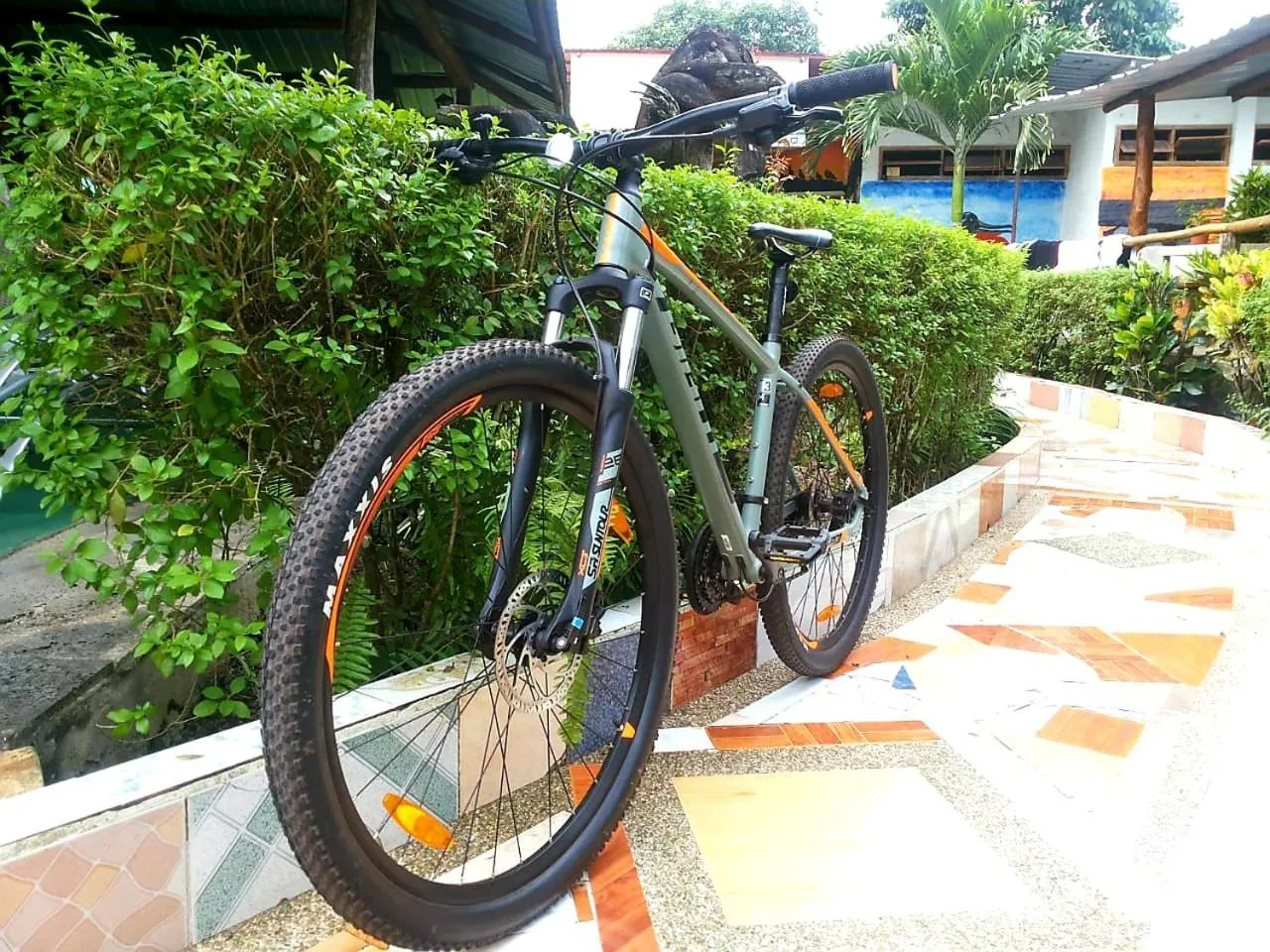 Activities in Suymar Ecolodge Galapagos