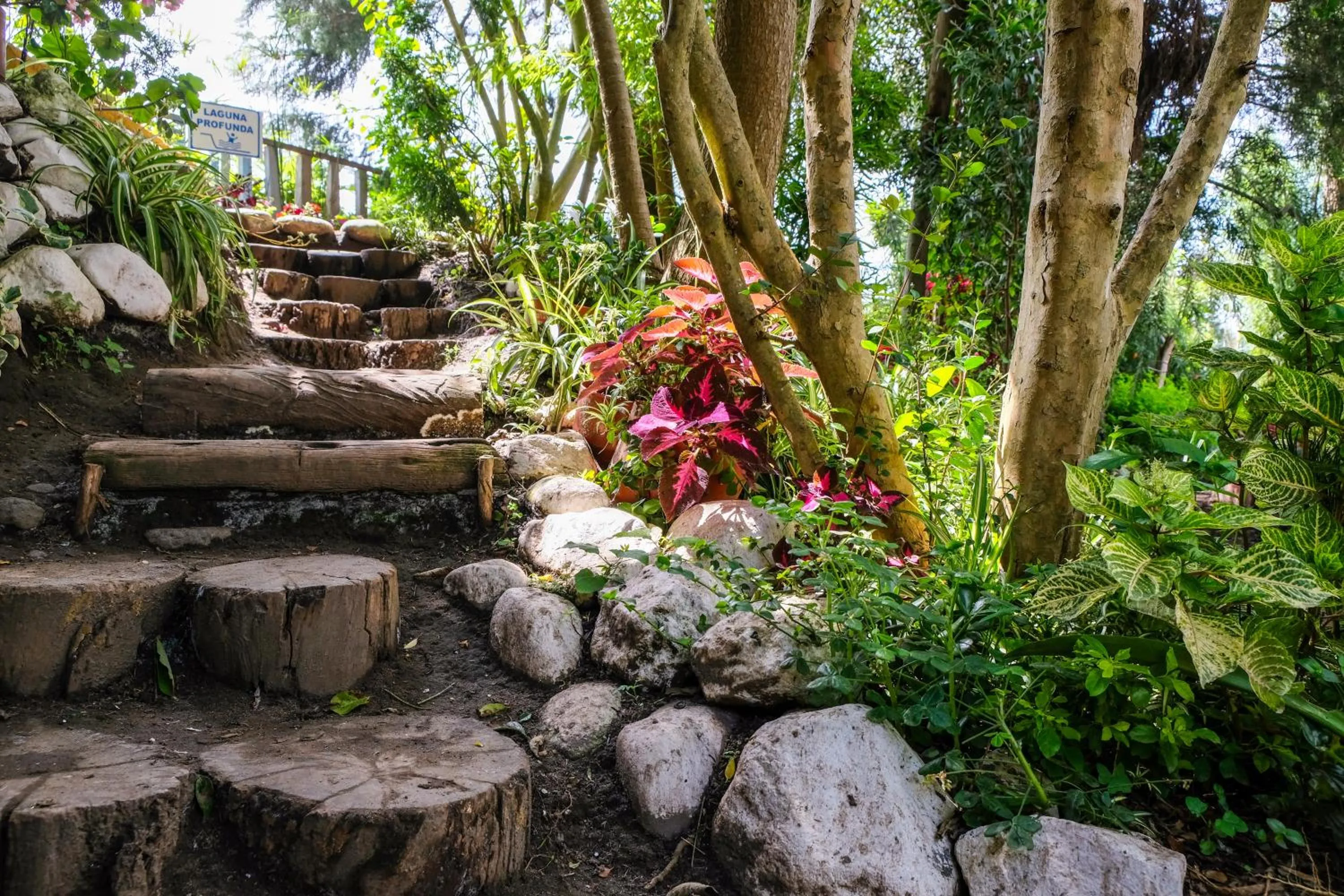 Natural landscape in Hostería Colibri Aeropuerto