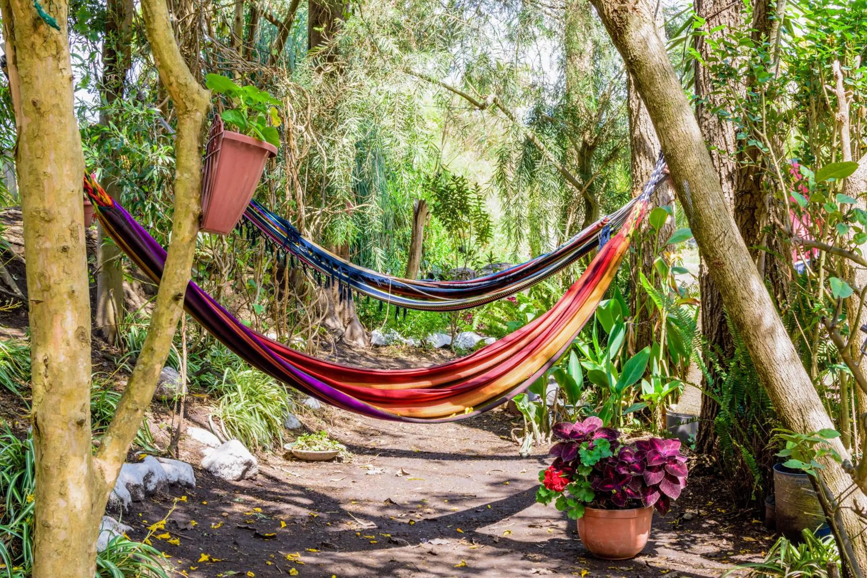 Garden in Hostería Colibri Aeropuerto
