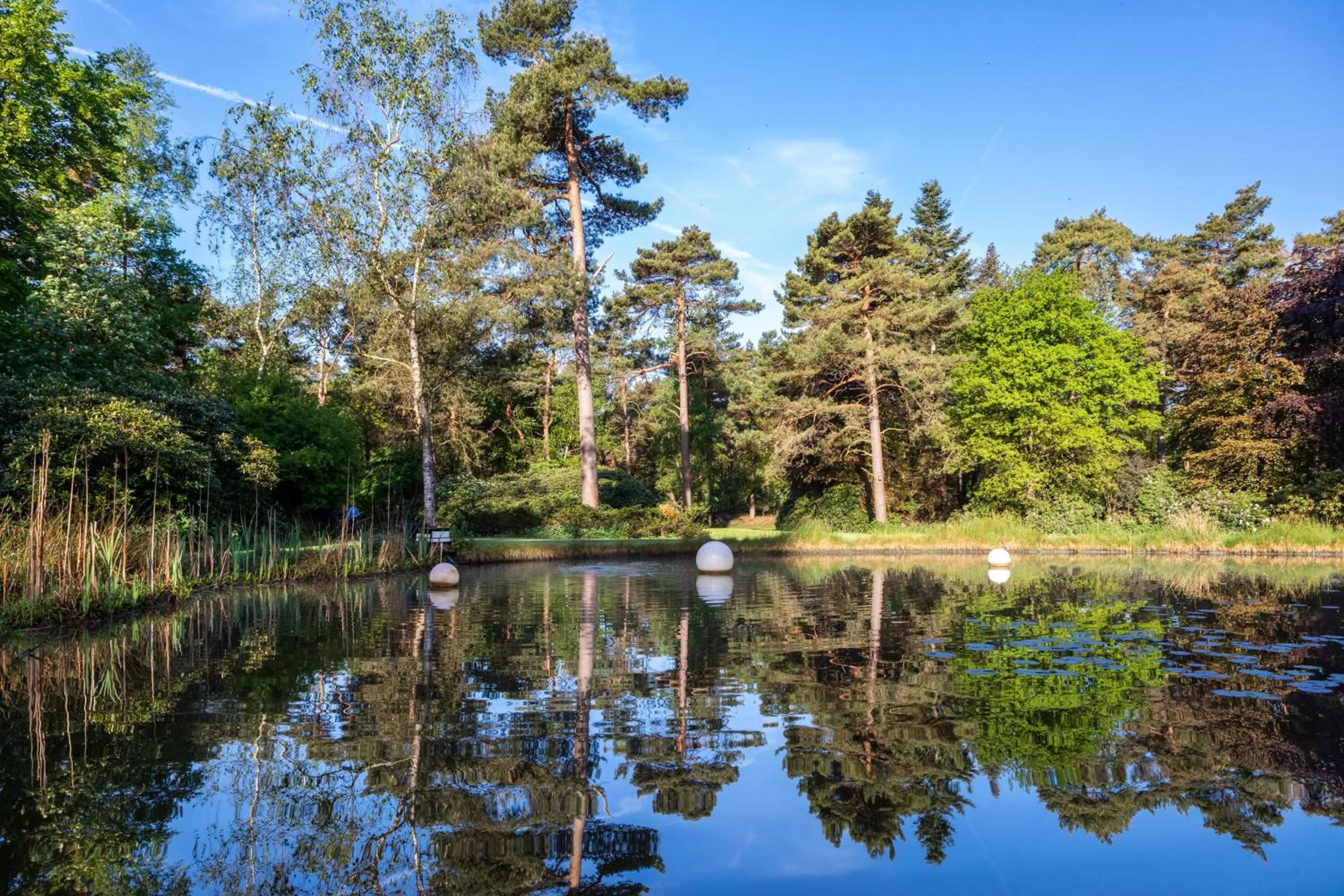 Garden in Hotel Woudschoten