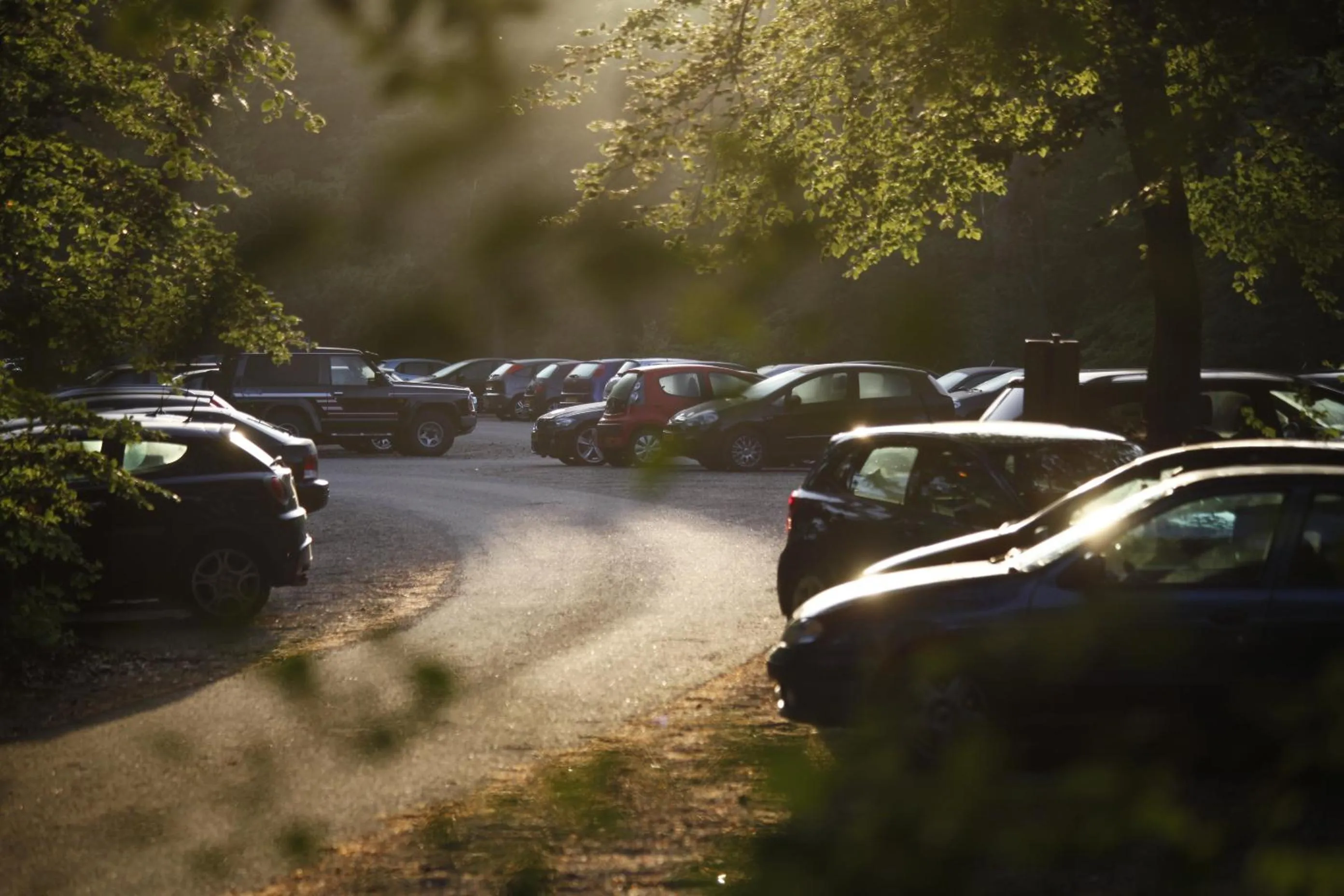 Area and facilities in Hotel Woudschoten