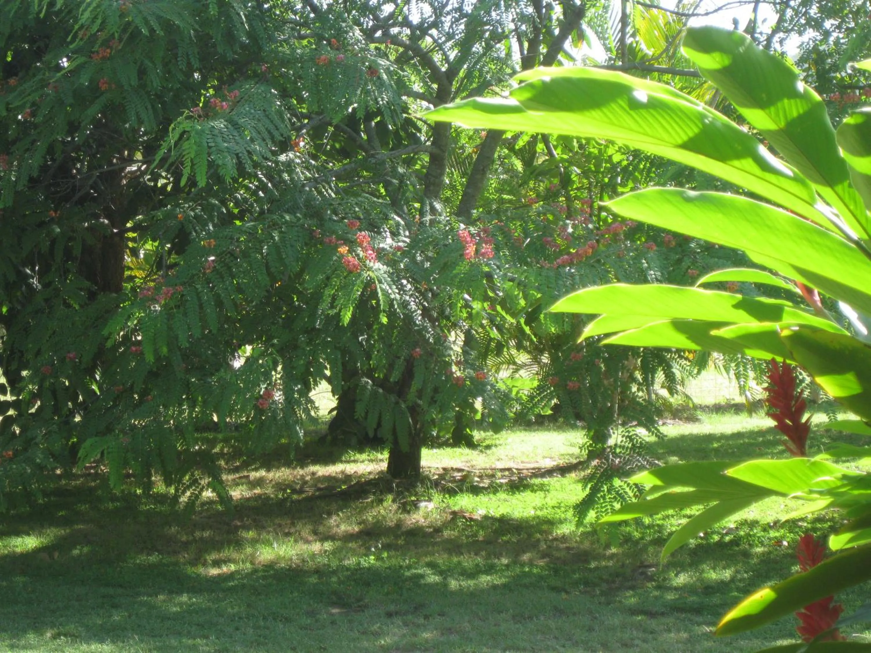 Other in Magnetic Island Bed and Breakfast