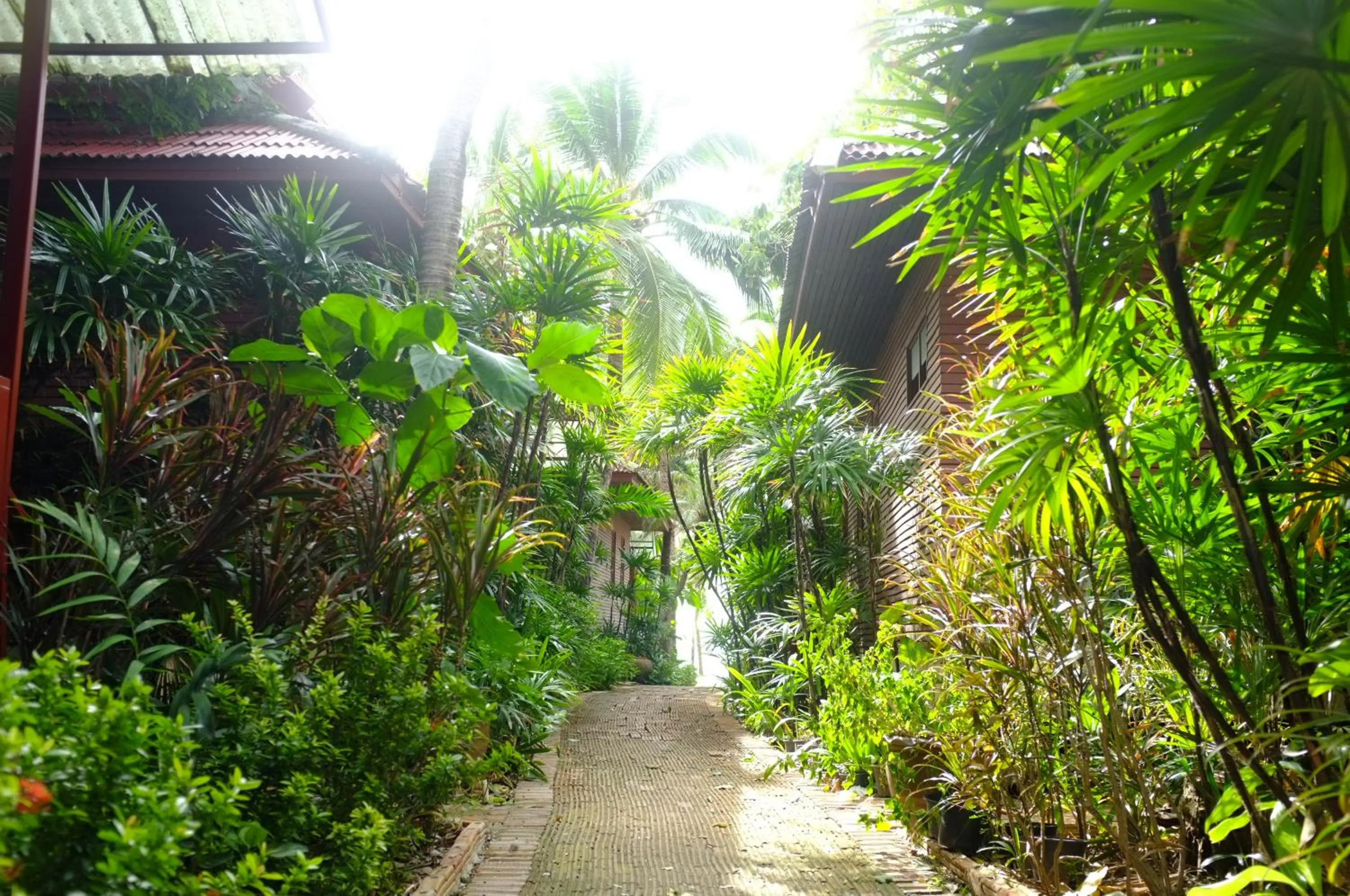 Chaweng Bliss Bungalow