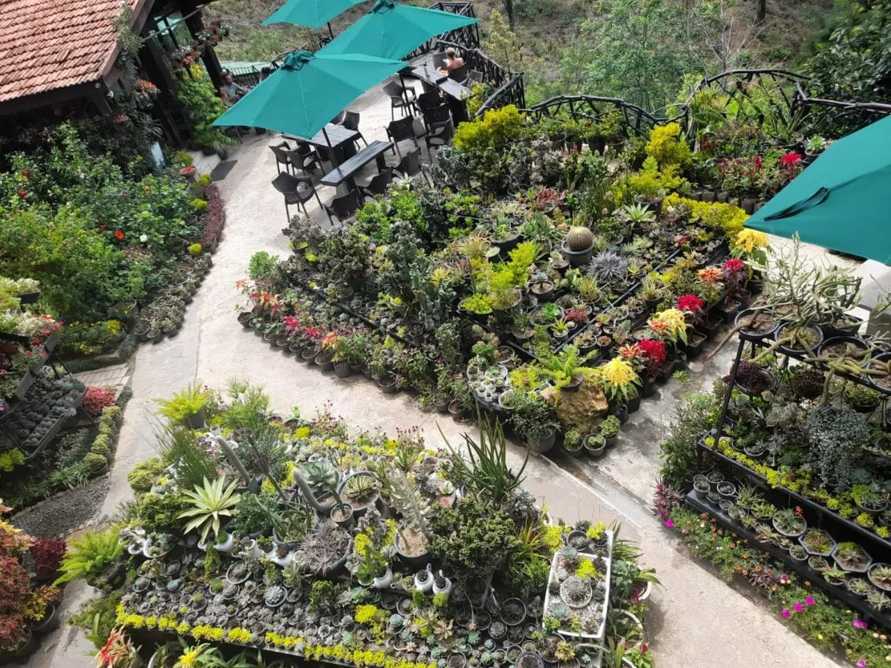 Ella Flower Garden Resort