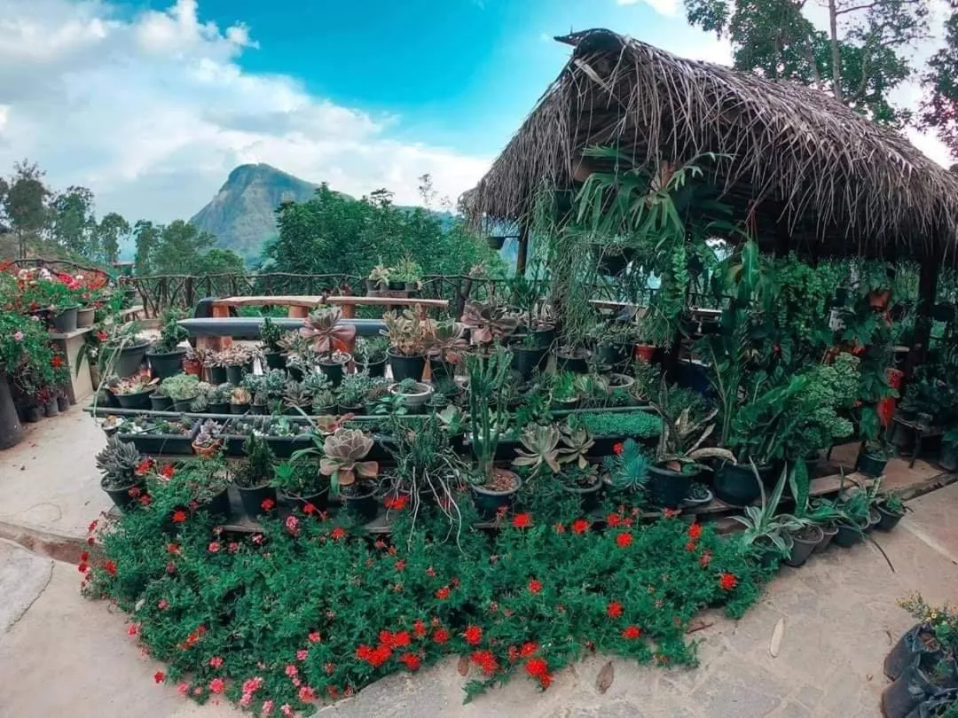 Ella Flower Garden Resort