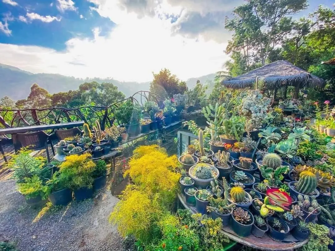 Ella Flower Garden Resort