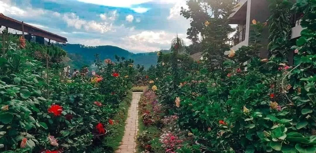 Ella Flower Garden Resort
