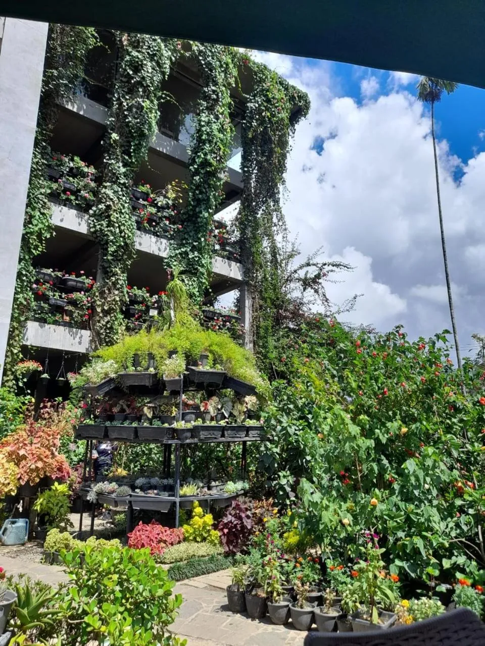 Ella Flower Garden Resort