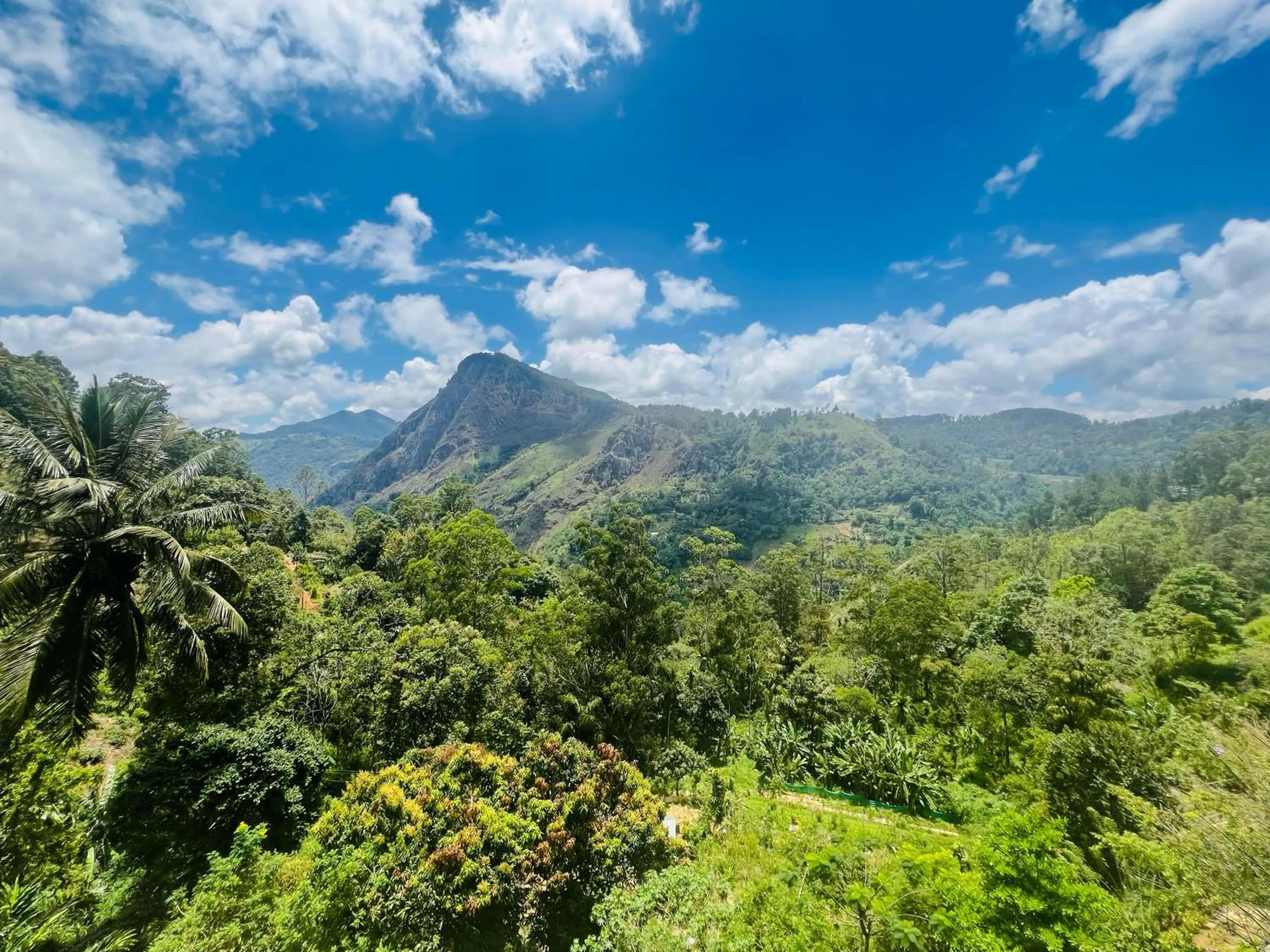 Ella Flower Garden Resort