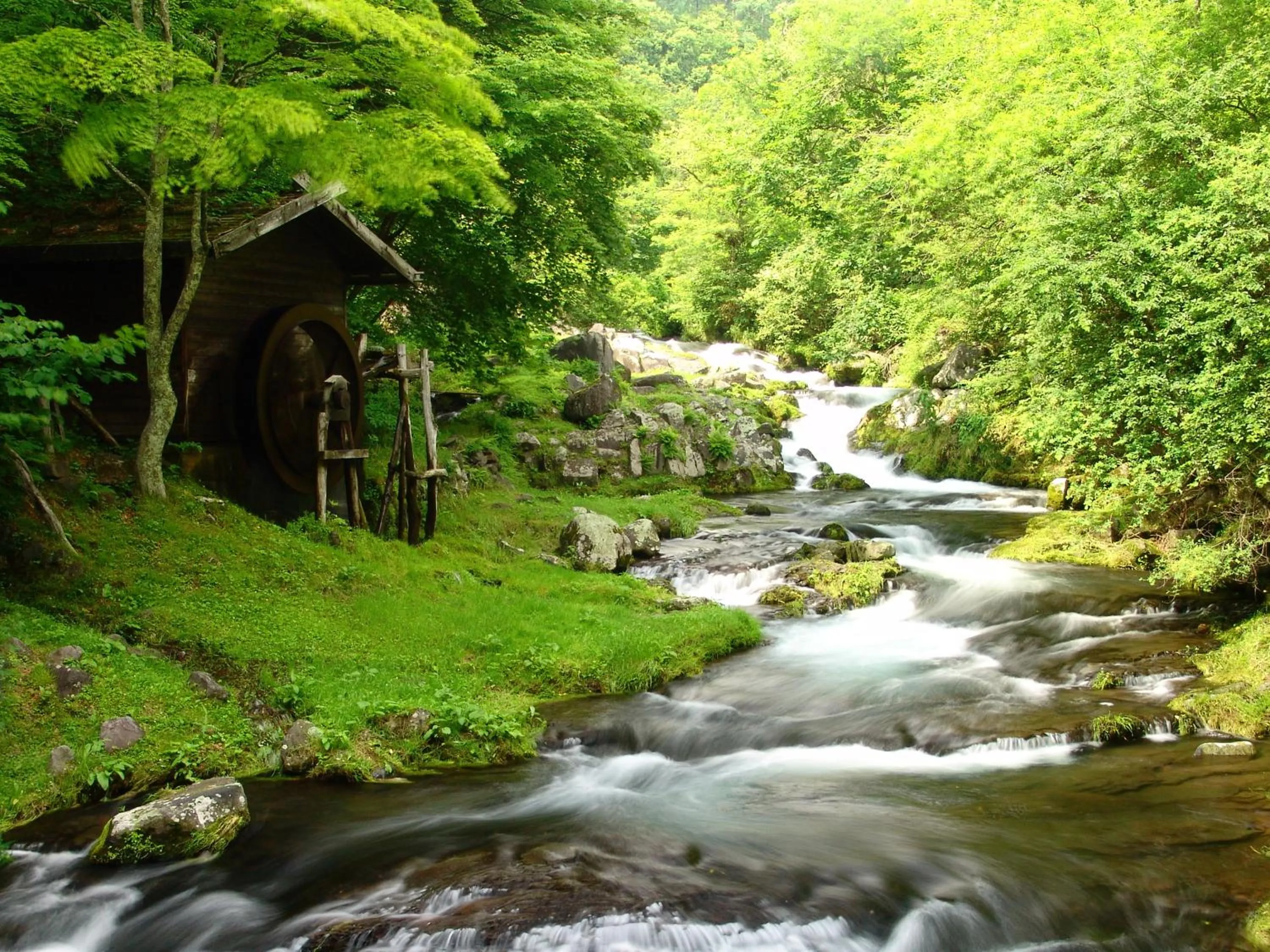Area and facilities in Tateshina Grand Hotel Takinoyu