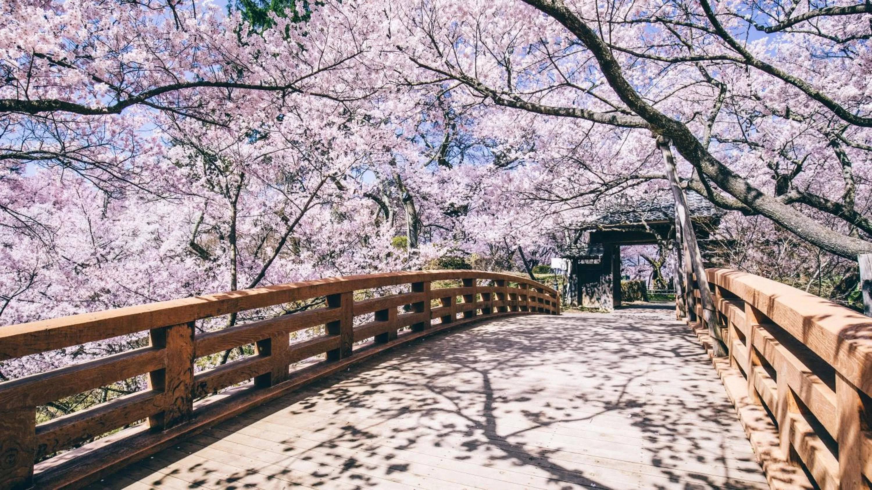 Tateshina Grand Hotel Takinoyu